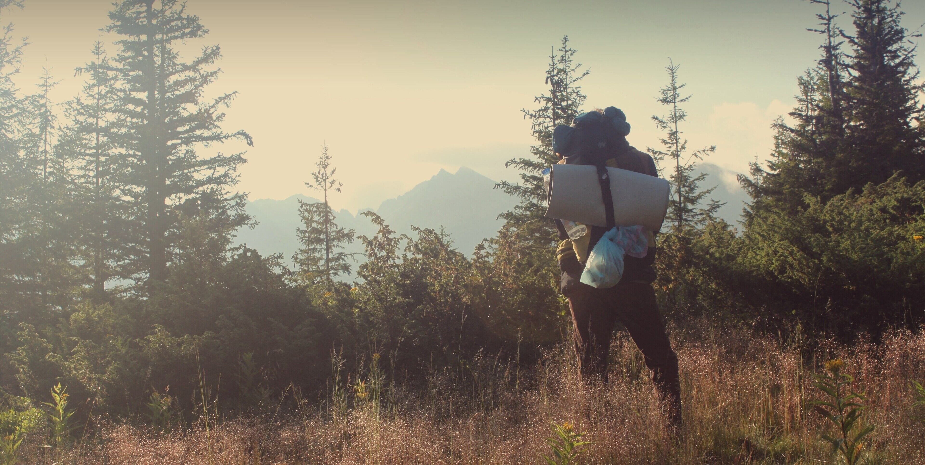Una persona caminando por un bosque con árboles altos y una montaña al fondo.