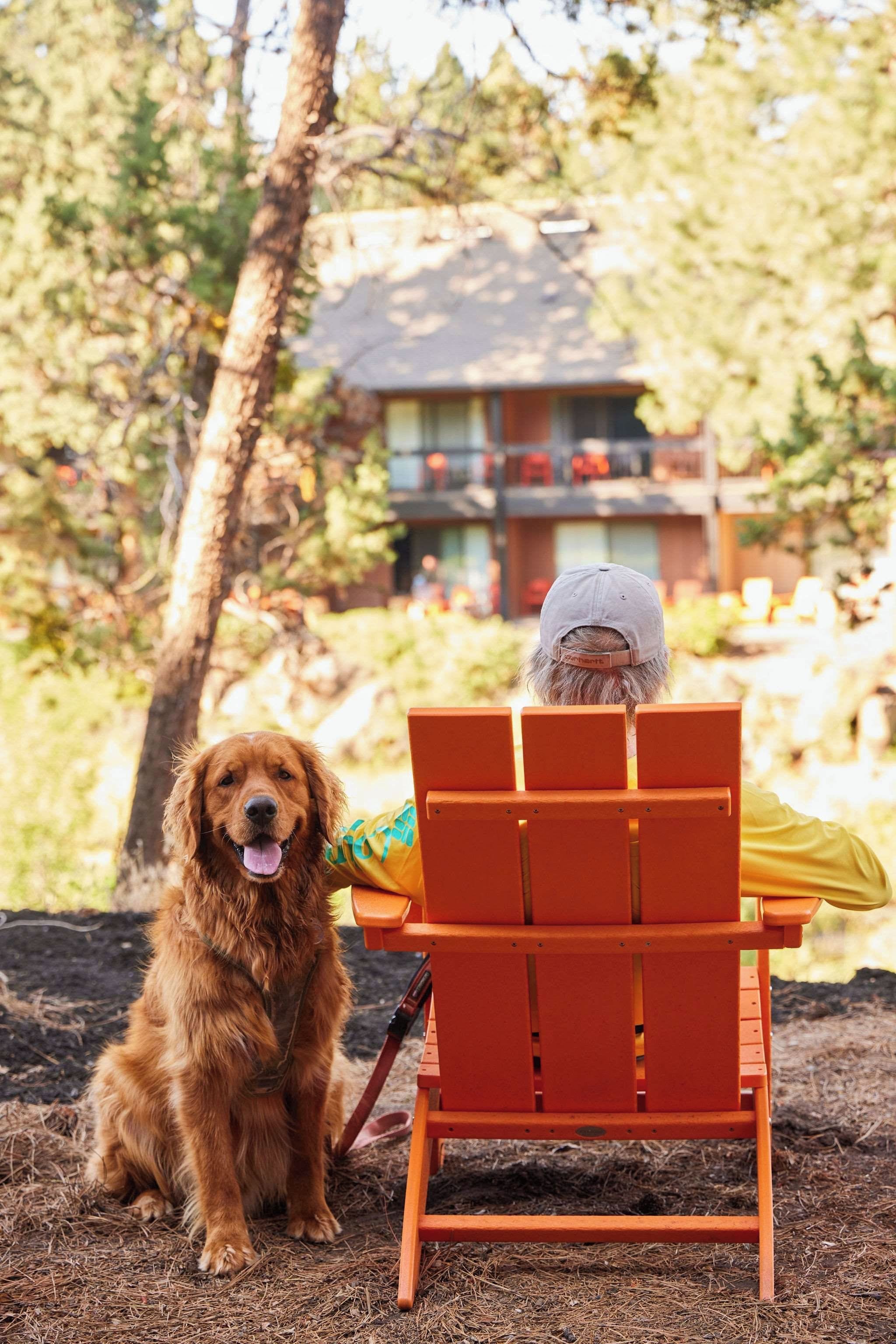 Une personne assise sur une chaise orange à l’extérieur, avec un chien à ses côtés.