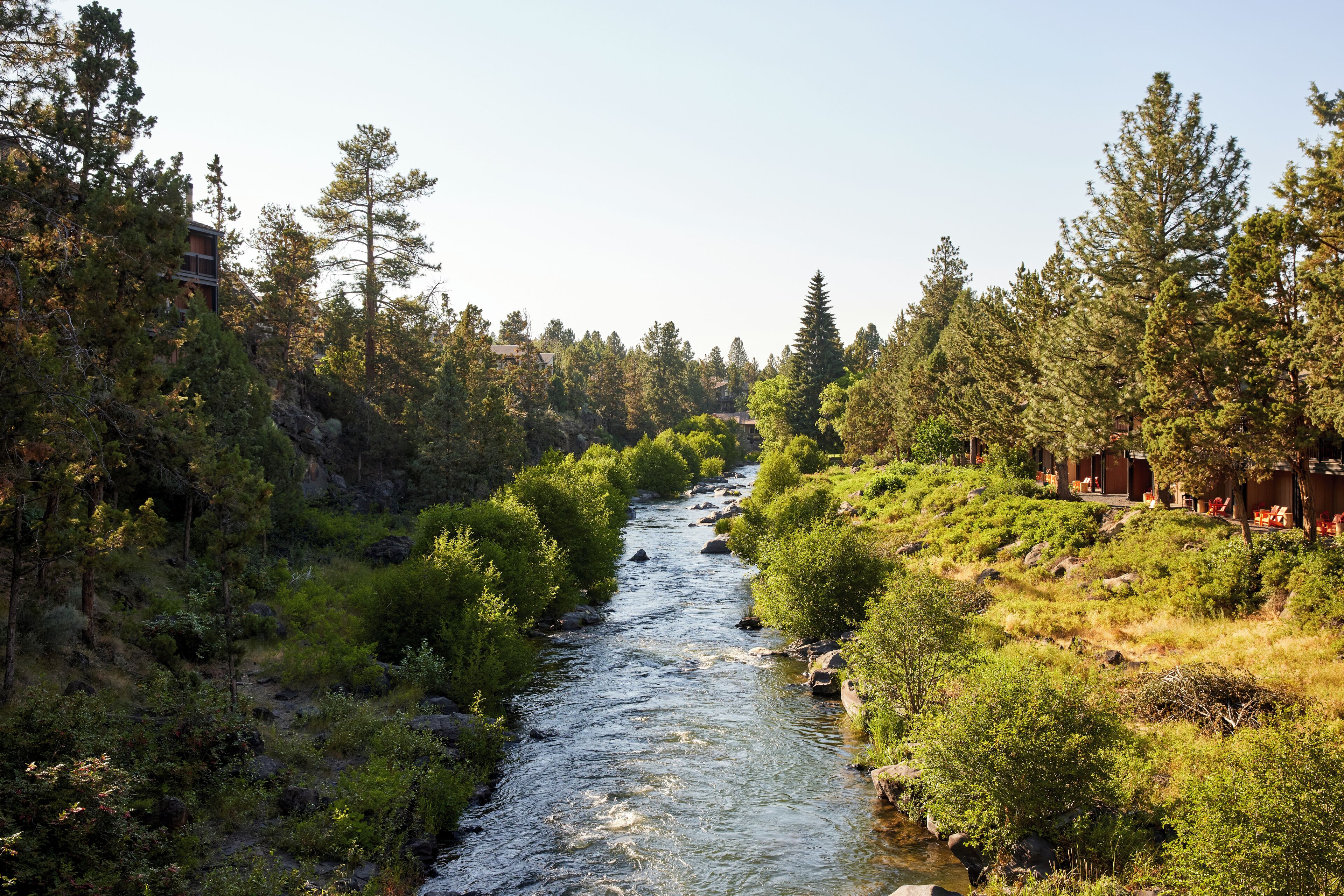 A river flowing through a forested area with buildings on the right side.