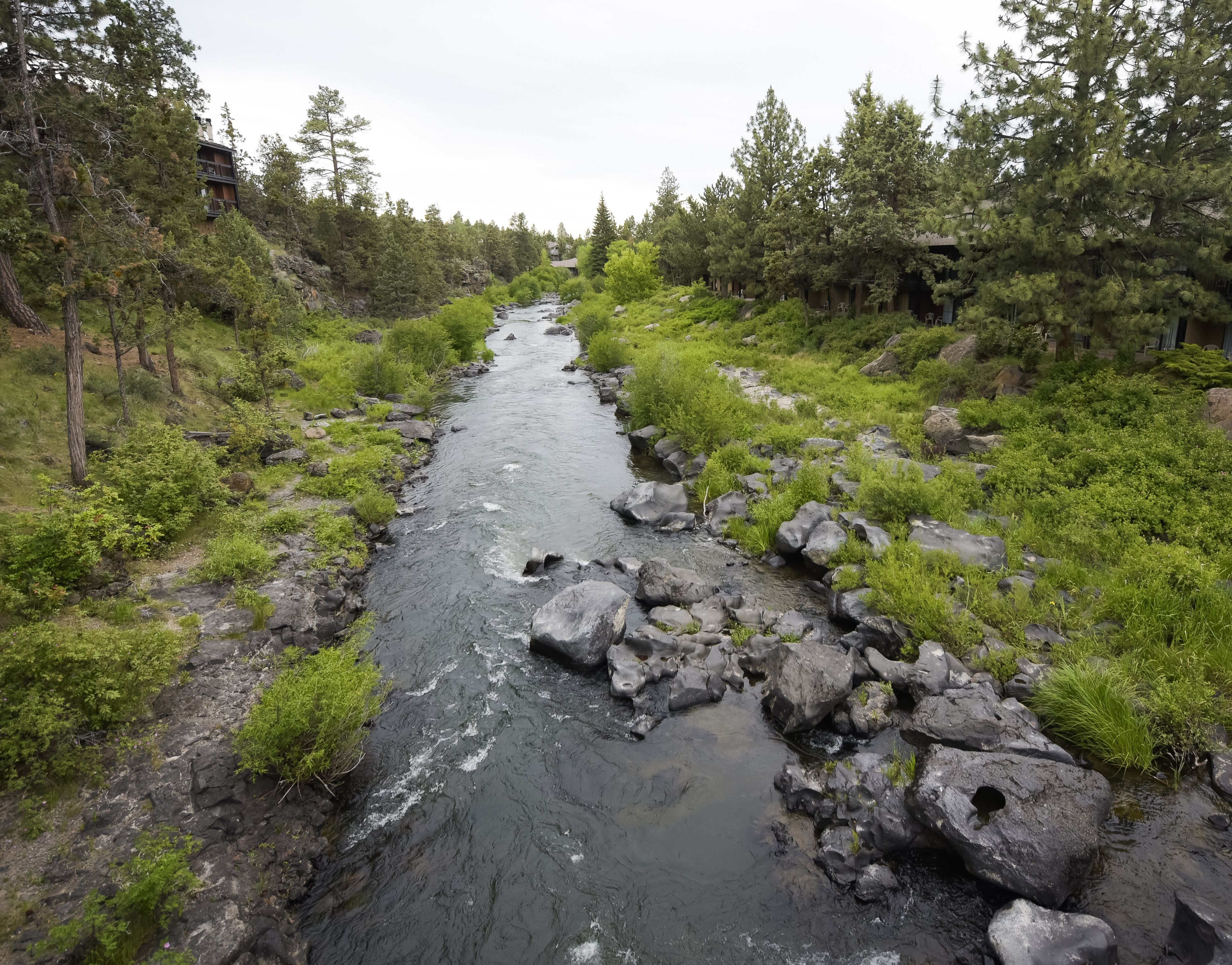 En flod der snor sig gennem et skovområde med klippebredder og frodig vegetation.