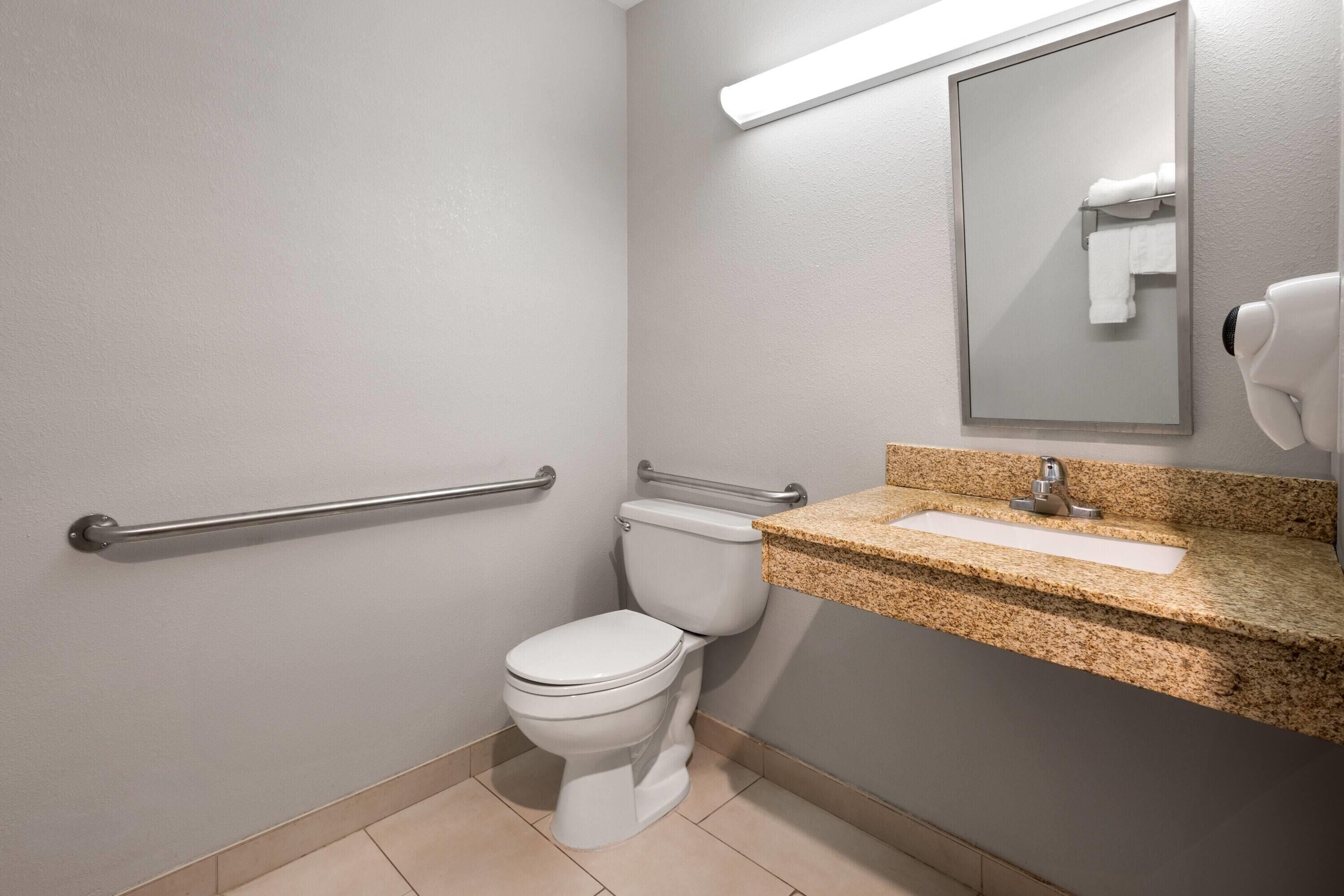 room, 1 queen bed, accessible, non smoking (roll-in shower) | accessible bathroom