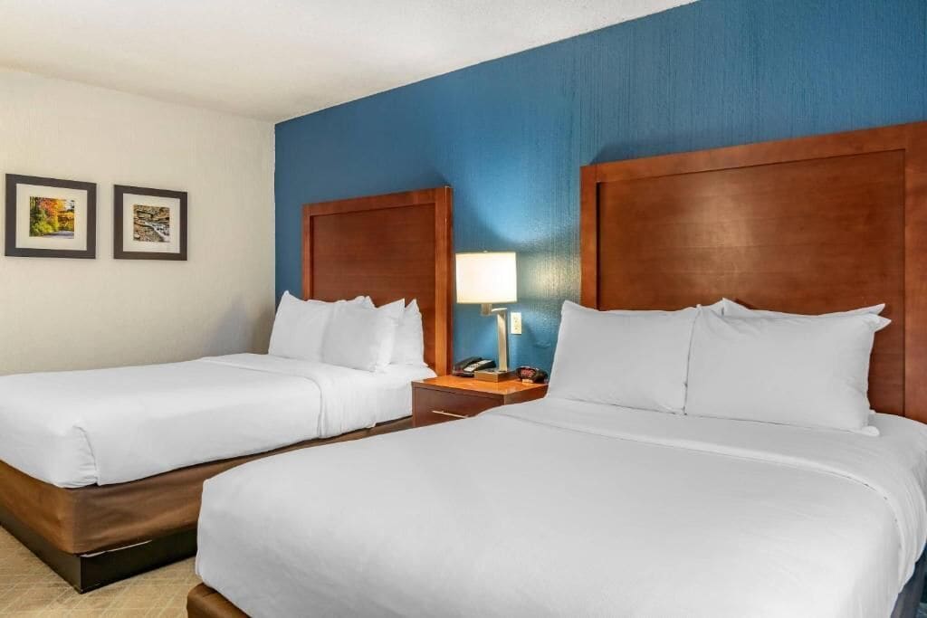 Foto - Comfort Inn University