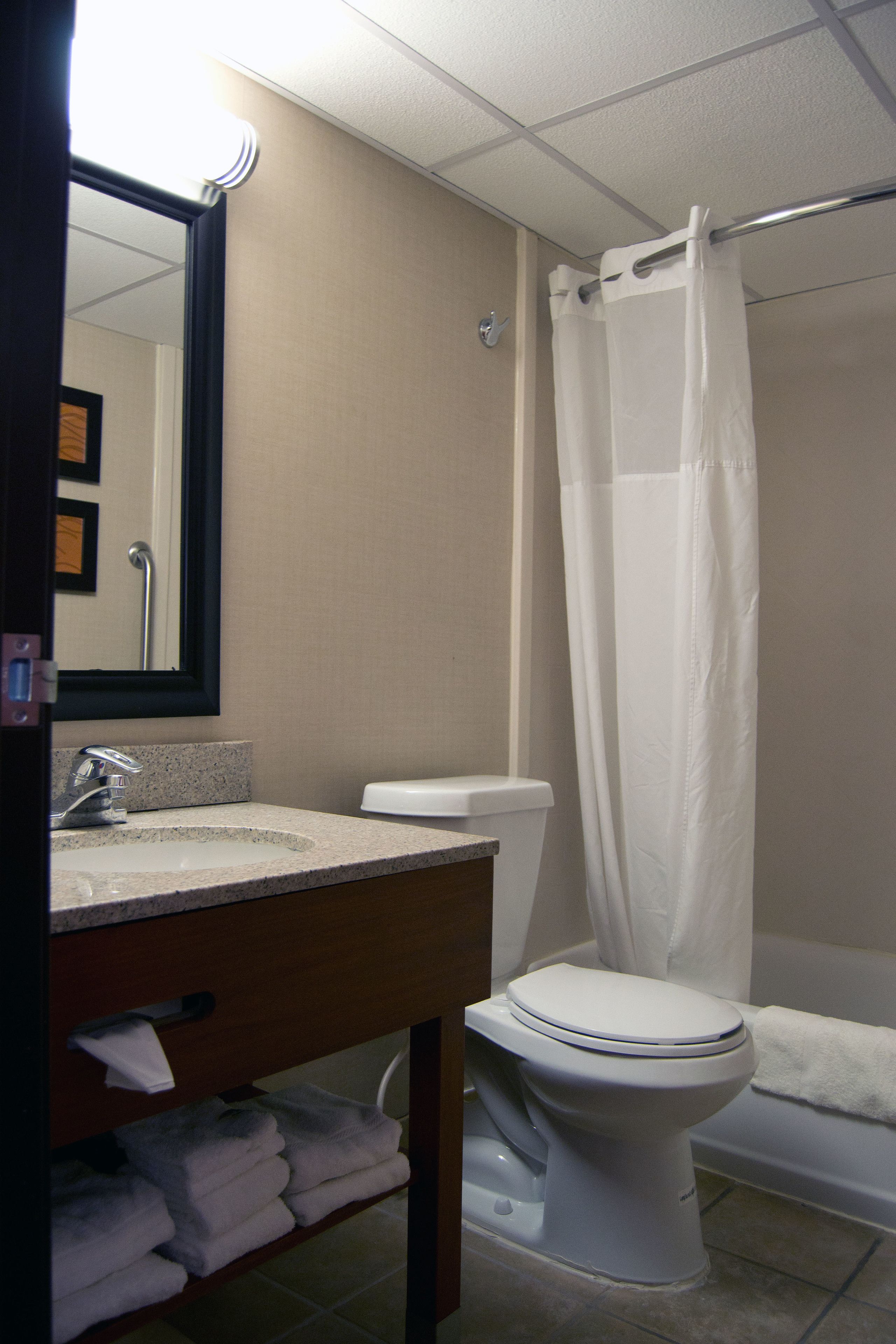 Une salle de bain équipée d’un lavabo, de toilettes et d’un rideau de douche.