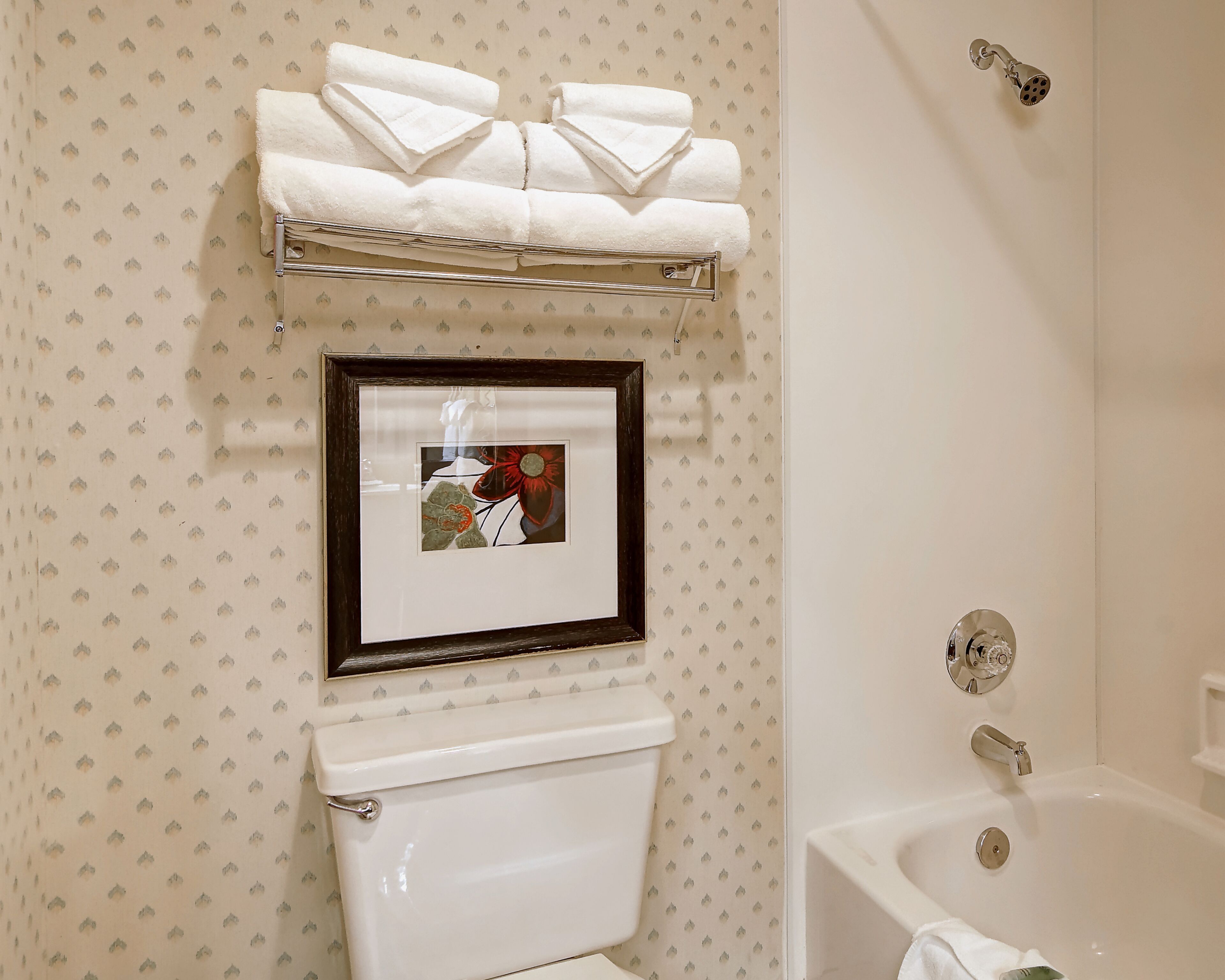 combined shower/bathtub, free toiletries, hair dryer, towels