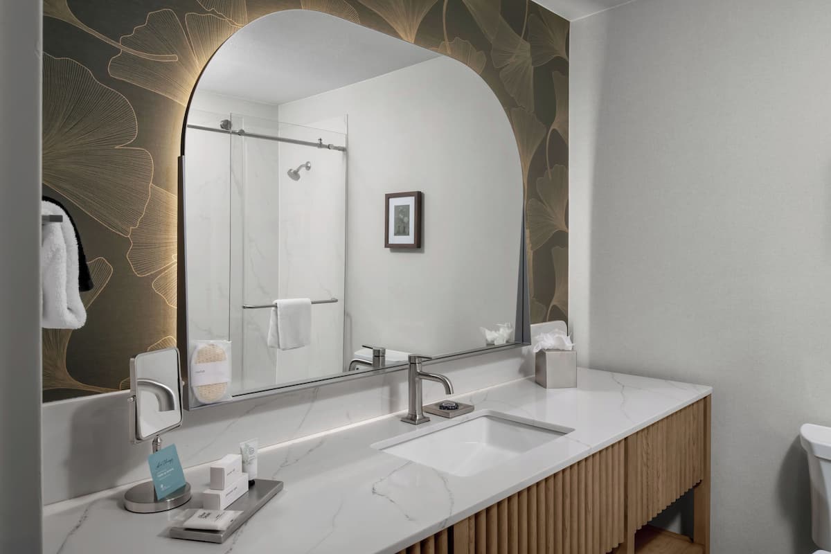 頂級套房, 1 張特大雙人床 (with Terrace Access) | 浴室 | 花灑/浴缸組合、名牌梳洗用品、風筒、浴袍