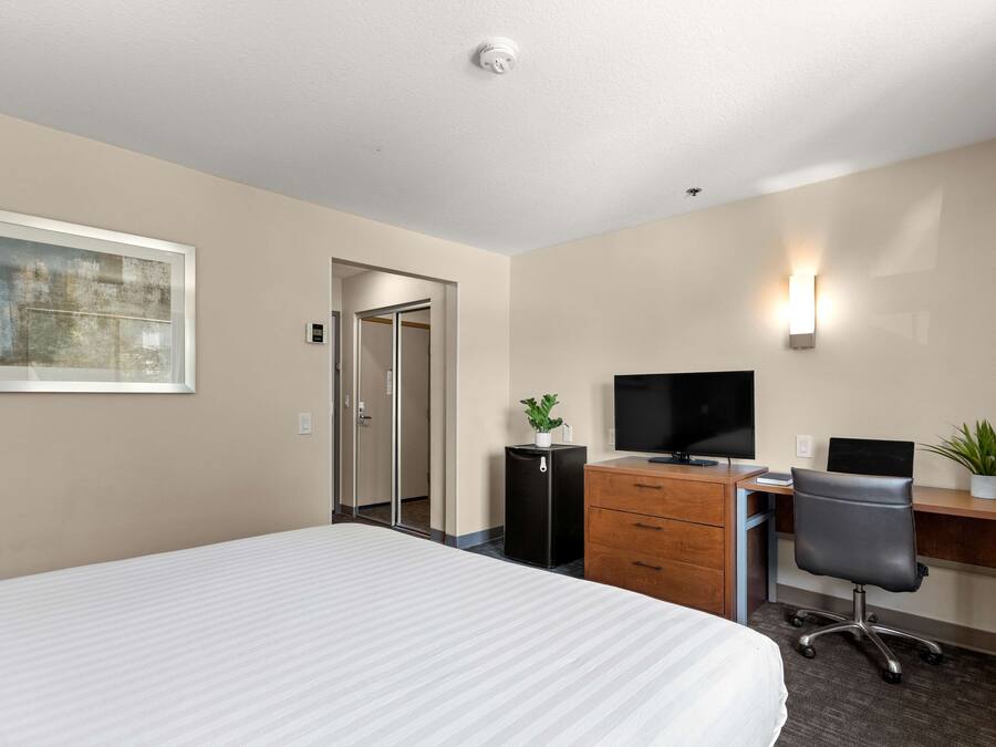 Een hotelkamer met een bed, een bureau met een computer, een televisie, een kleine plant en een deur naar een andere kamer.