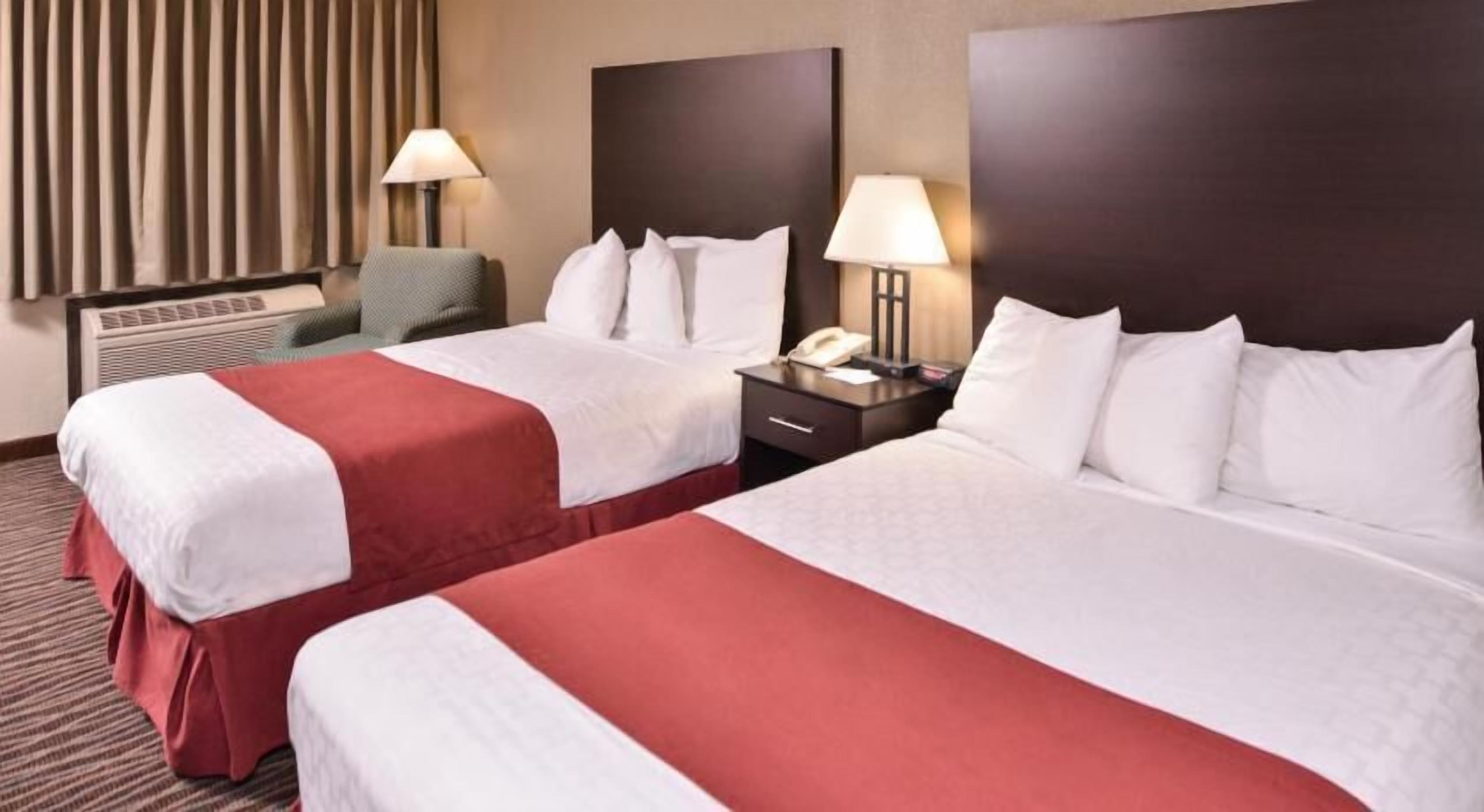 Desk, free cots/infant beds, rollaway beds, free WiFi