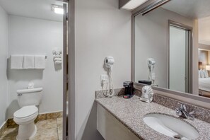 Un baño con inodoro, lavamanos, espejo y secador de pelo.