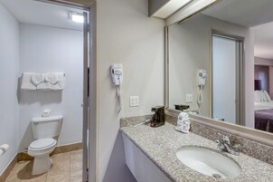 Un baño con inodoro, lavamanos, espejo y secador de pelo.