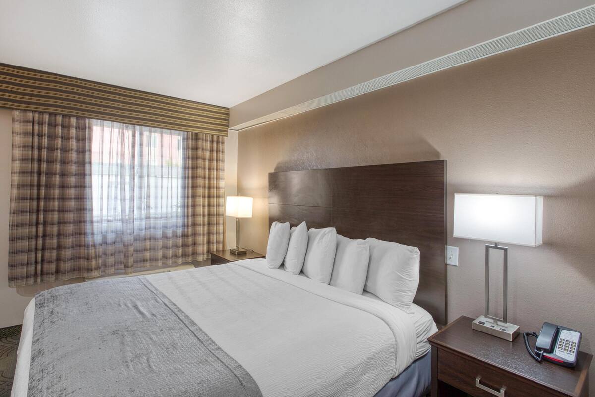 Standard Room, 1 King Bed, Accessible, Non Smoking