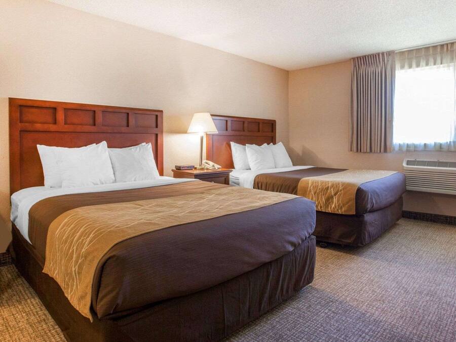 Habitación estándar, 2 camas Queen size, para no fumadores | Escritorio, tabla de planchar con plancha, wifi gratis y ropa de cama