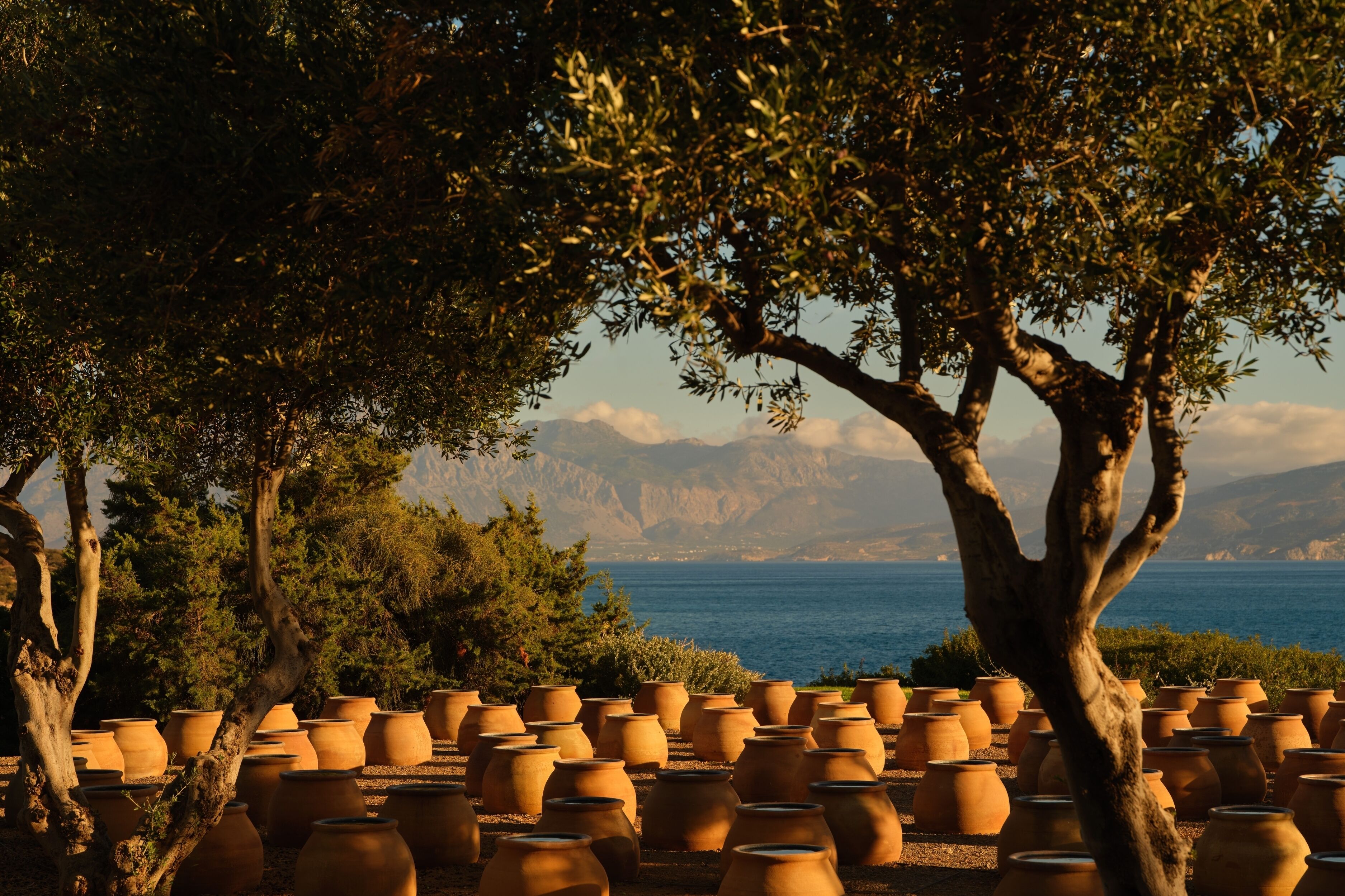 Foto - Minos Palace Resort - Adults Only