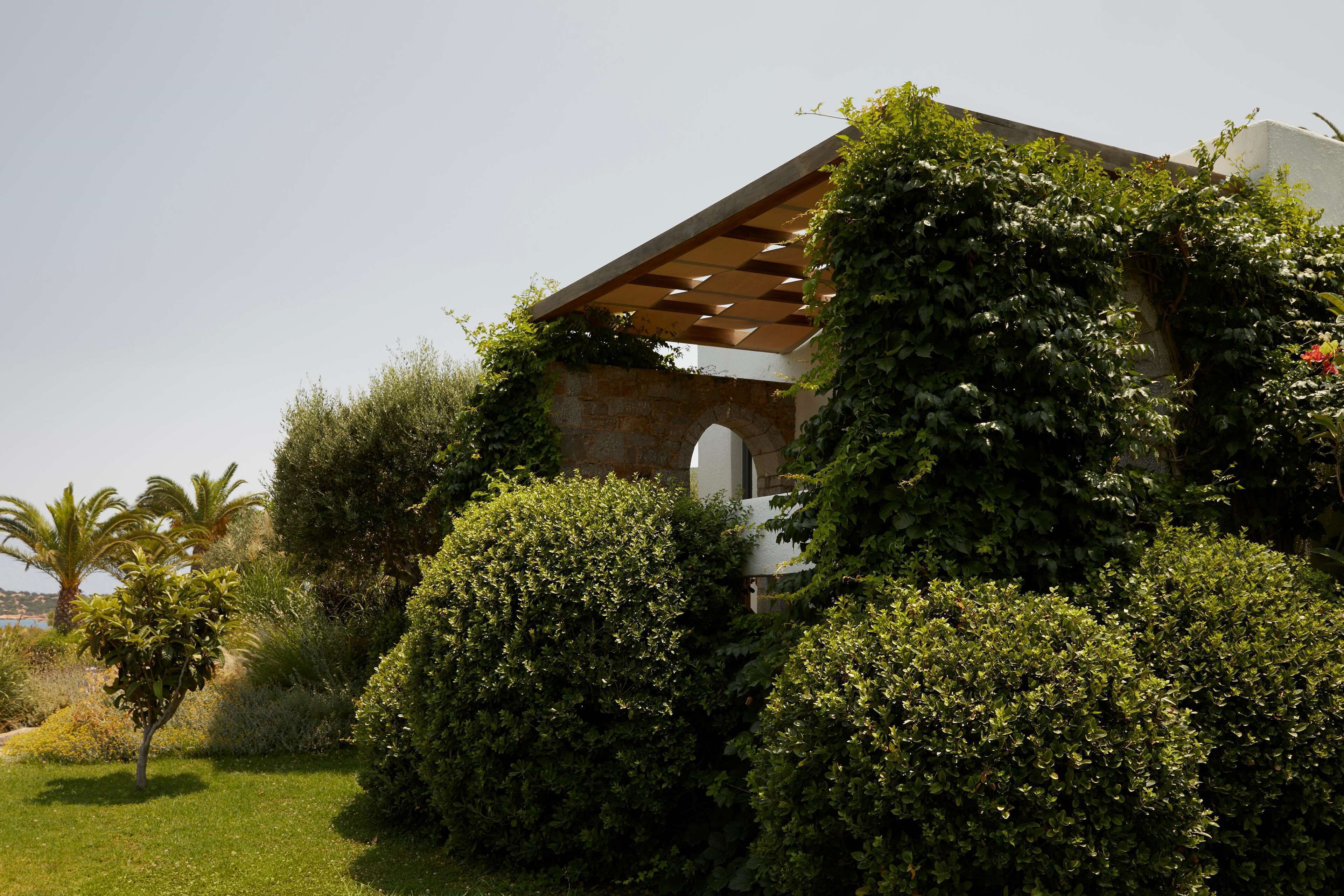 Ett hus med en pergola, omgivet av frodig grönska och en palm.