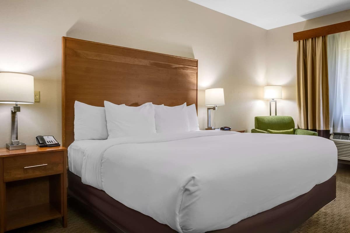 Room, 1 King Bed, Accessible, Non Smoking | Egyptian cotton sheets, premium bedding, down duvets, pillow-top beds