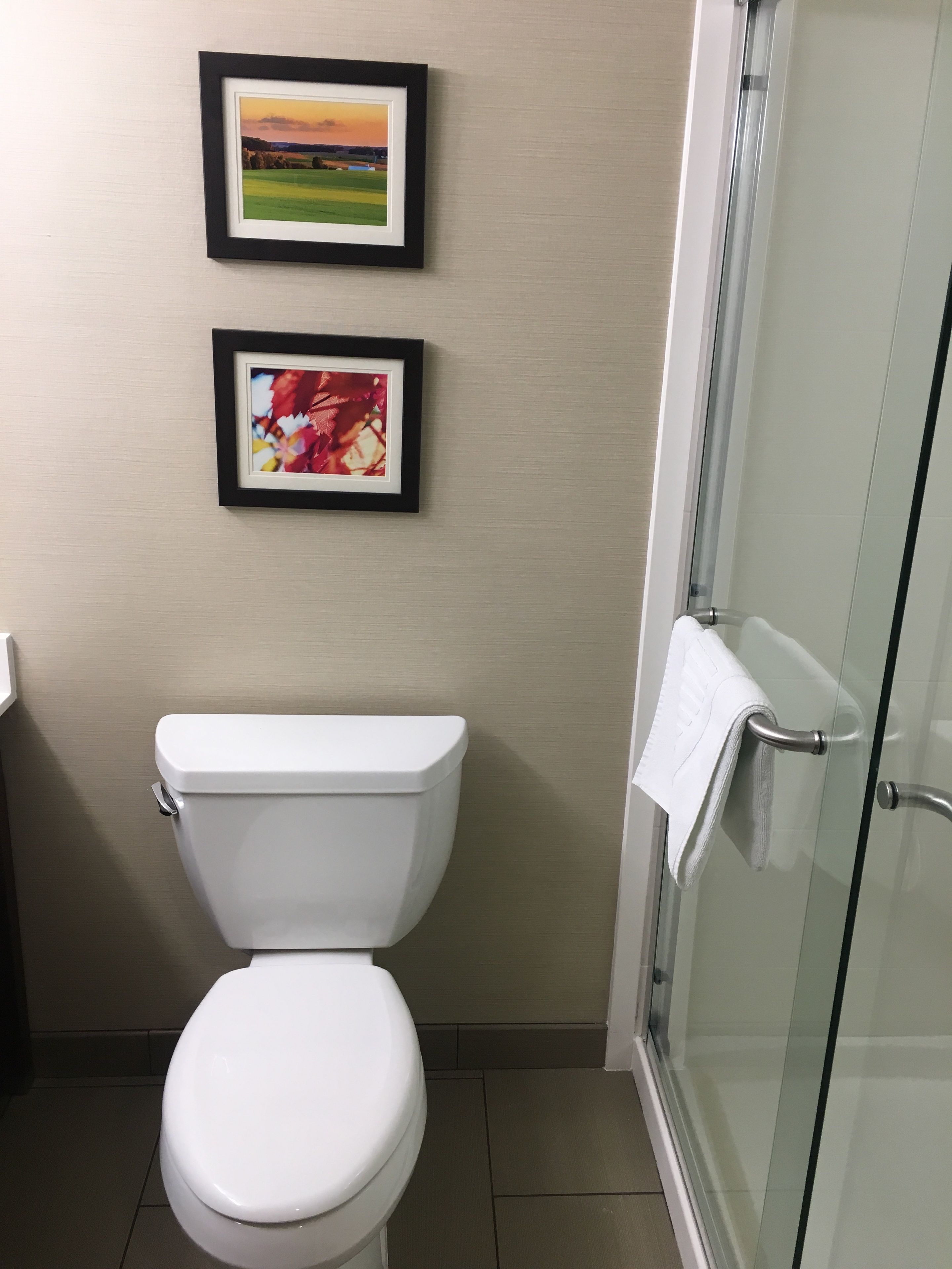 A bathroom with a white toilet, a framed picture of a landscape, and a glass shower door.