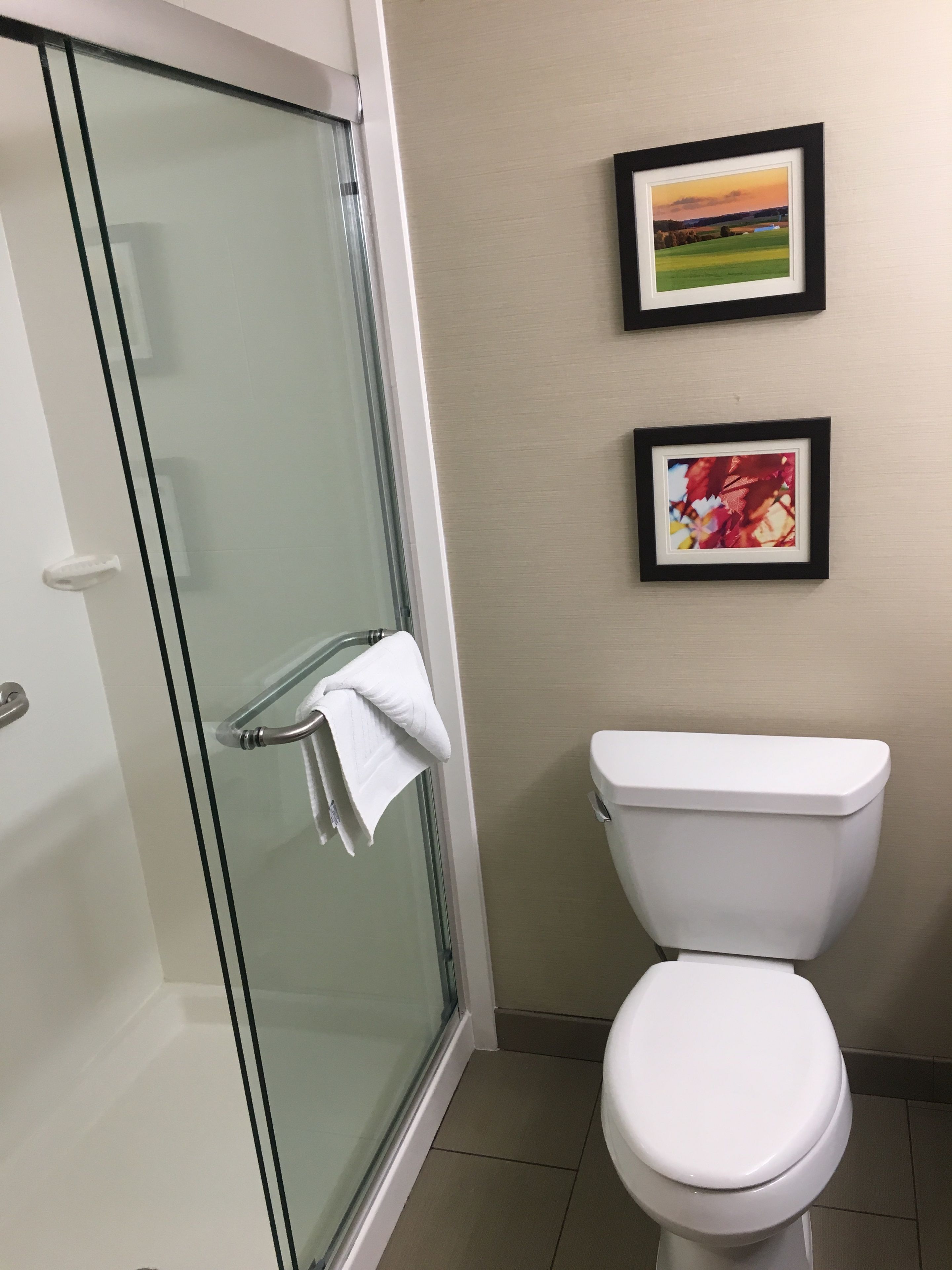 standard room, 1 king bed, non smoking | bathroom shower