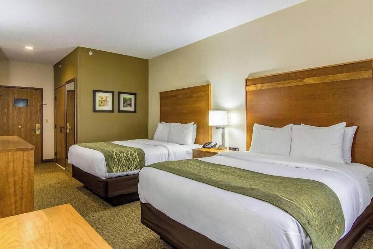 A hotel room with two beds, a wooden headboard, a bedside table with a lamp, and a door.