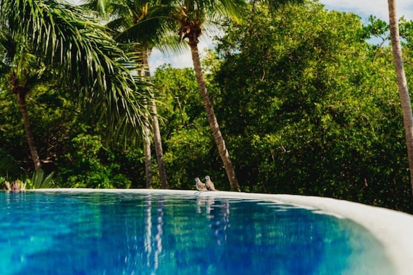 Outdoor pool, open 9:00 AM to 7:00 PM, sun loungers