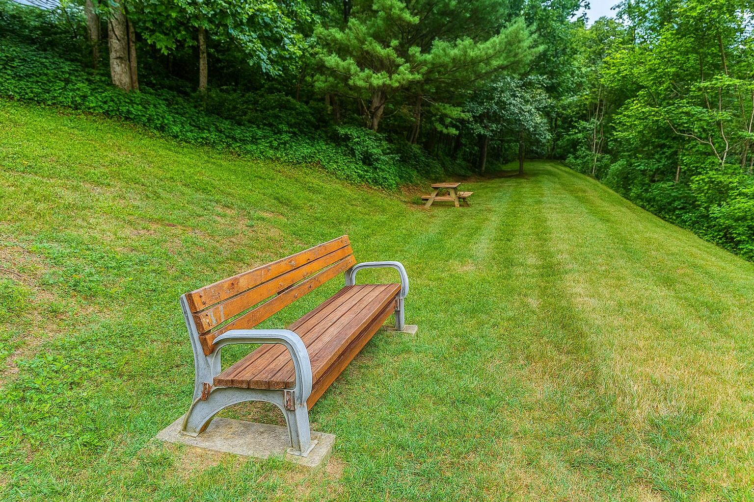 A park bench with metal armrests and a wooden seat, positioned on a grassy slope with a picnic table in the background.
