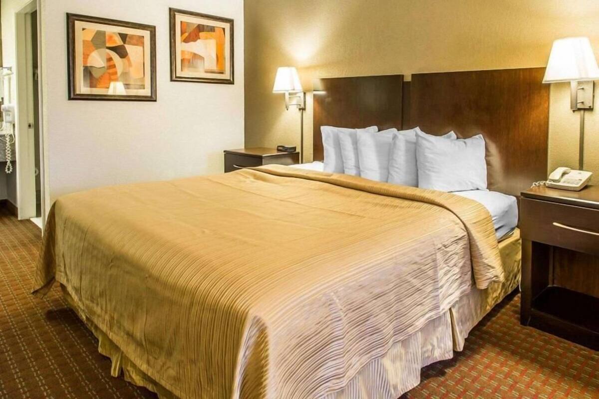 Habitación de hotel con una cama grande, dos mesitas de noche con lámparas y dos cuadros enmarcados en la pared.