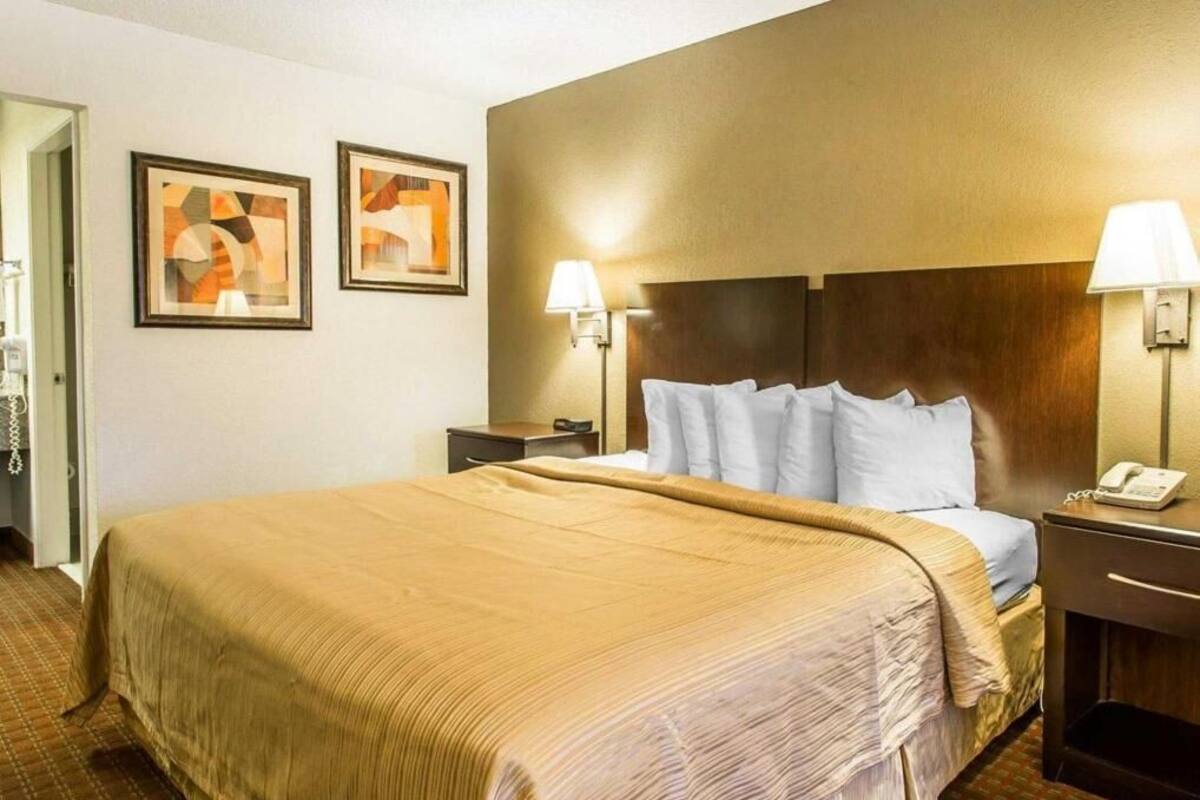 Habitación de hotel con una cama grande, dos lámparas de noche, una mesita de noche y dos cuadros en la pared.