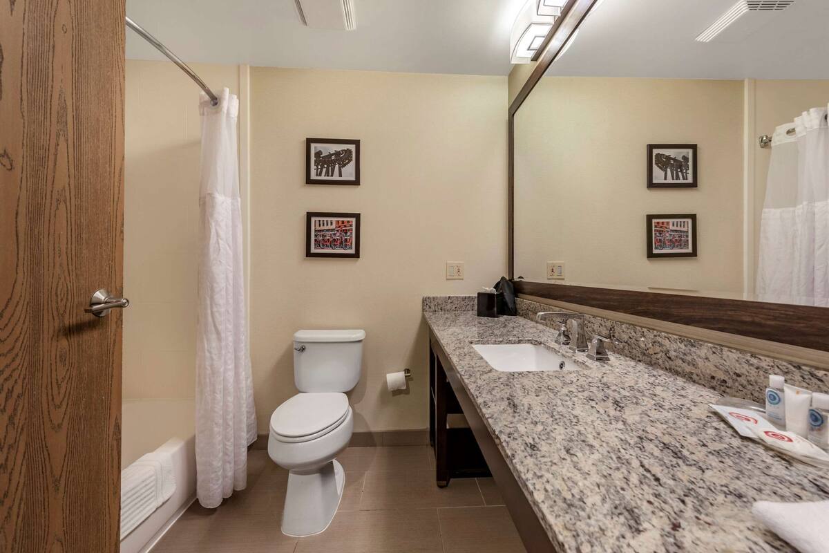 Combined shower/tub, free toiletries, hair dryer, towels