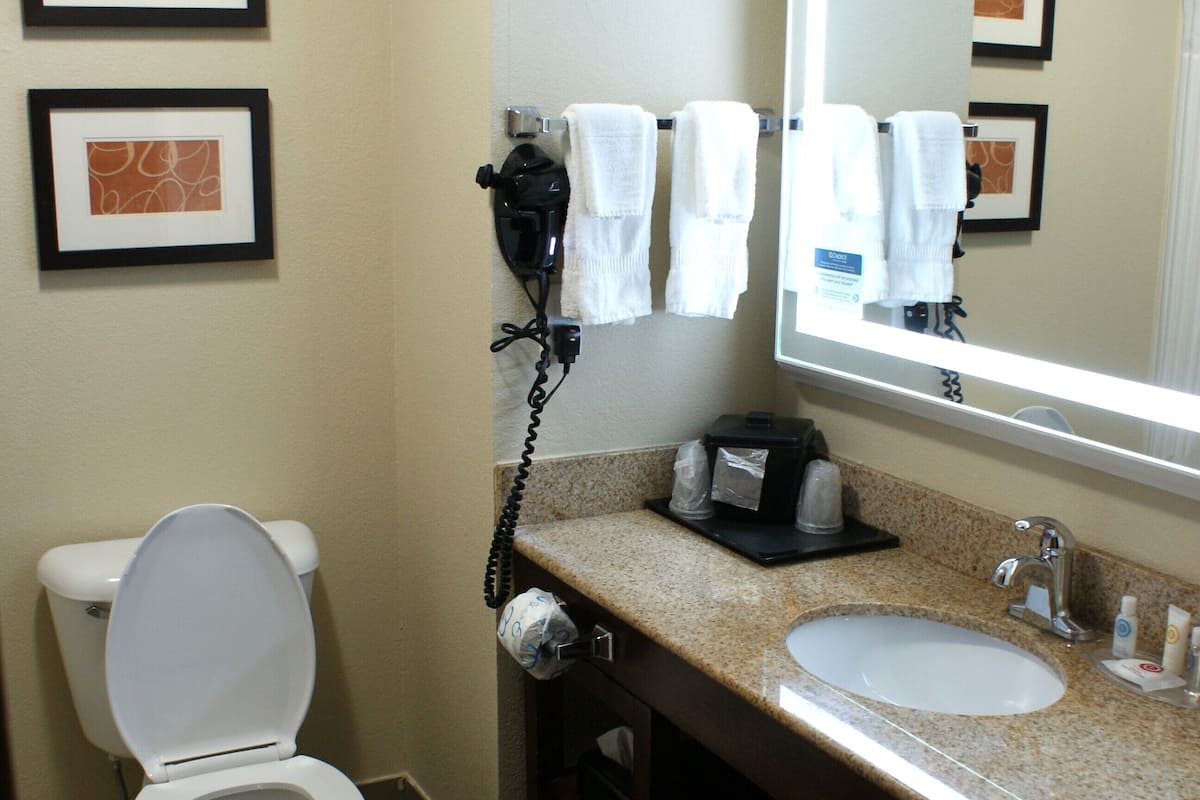 combined shower/bathtub, free toiletries, hair dryer, towels