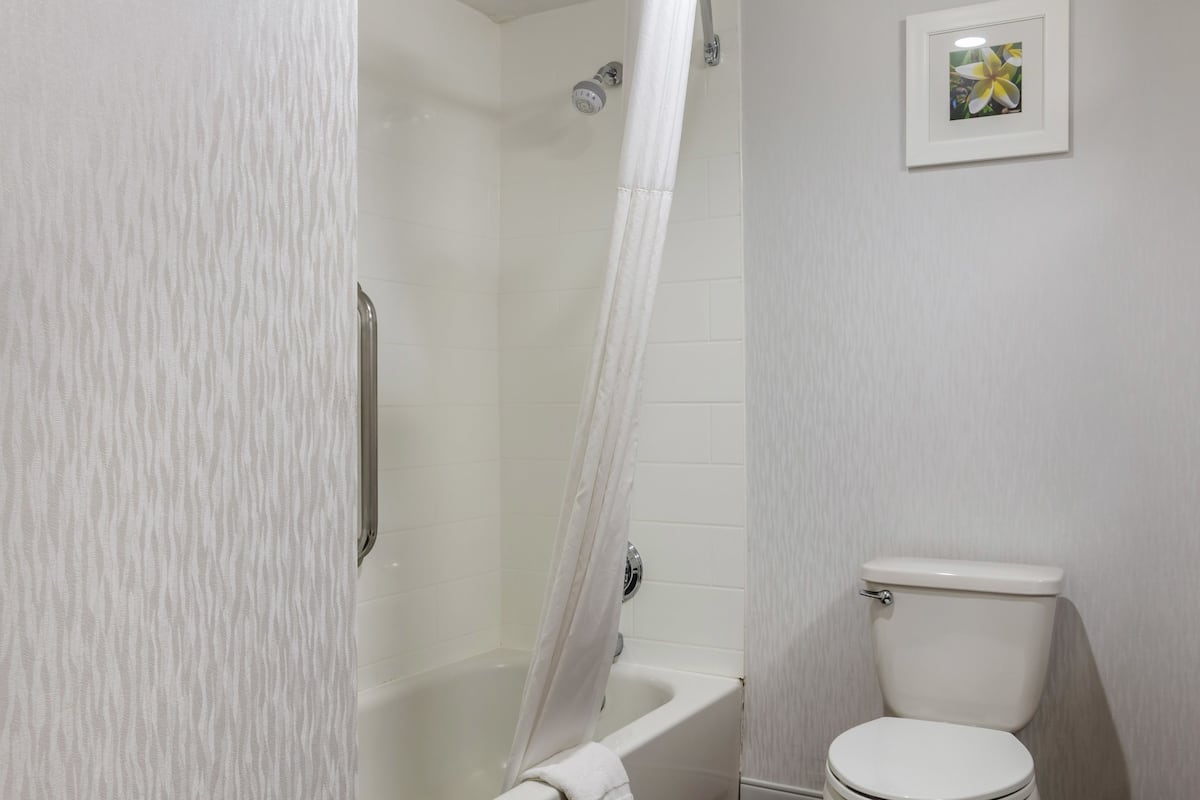 free toiletries, hair dryer, towels, soap