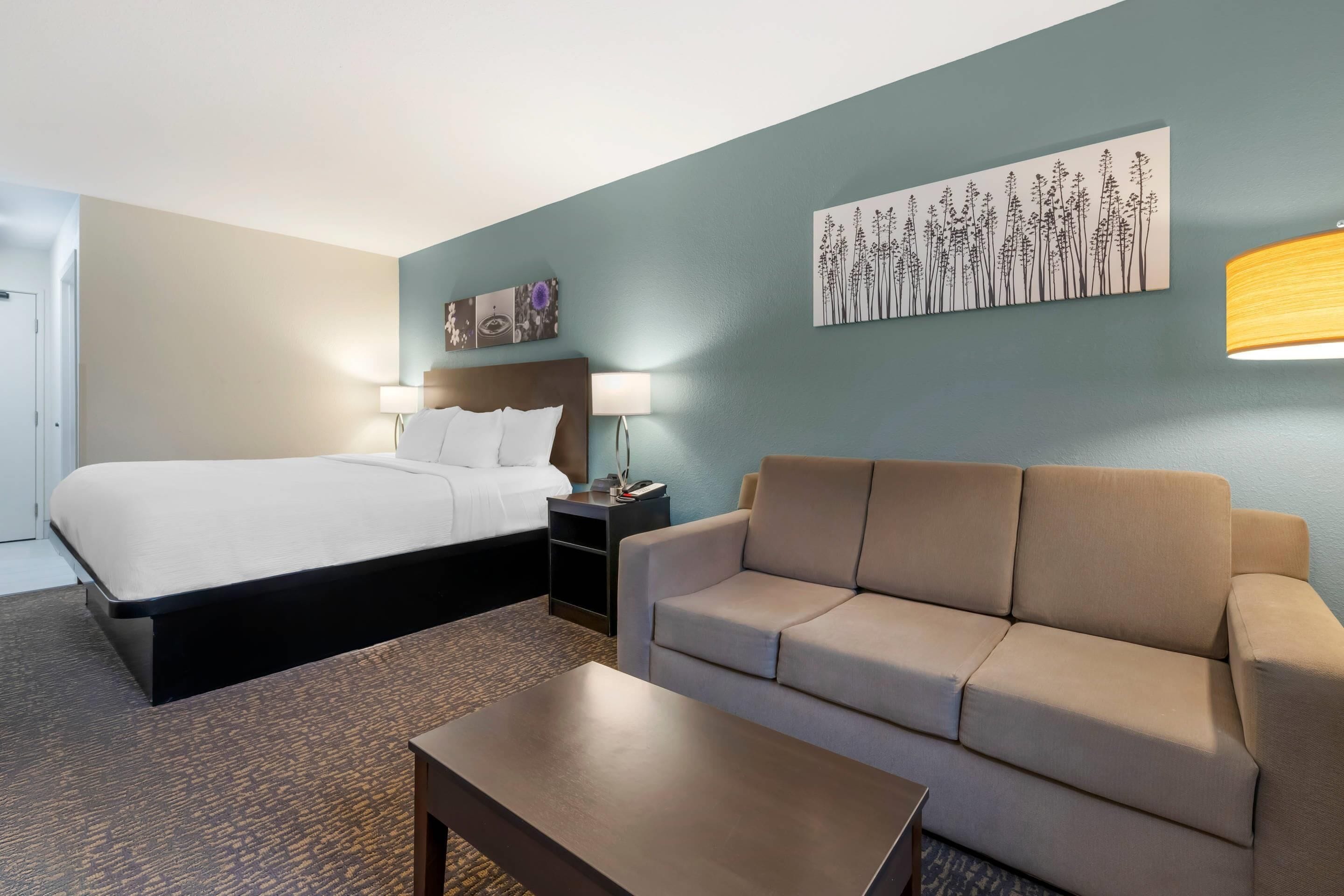 A hotel room with a bed, a sofa, a coffee table, and wall art.