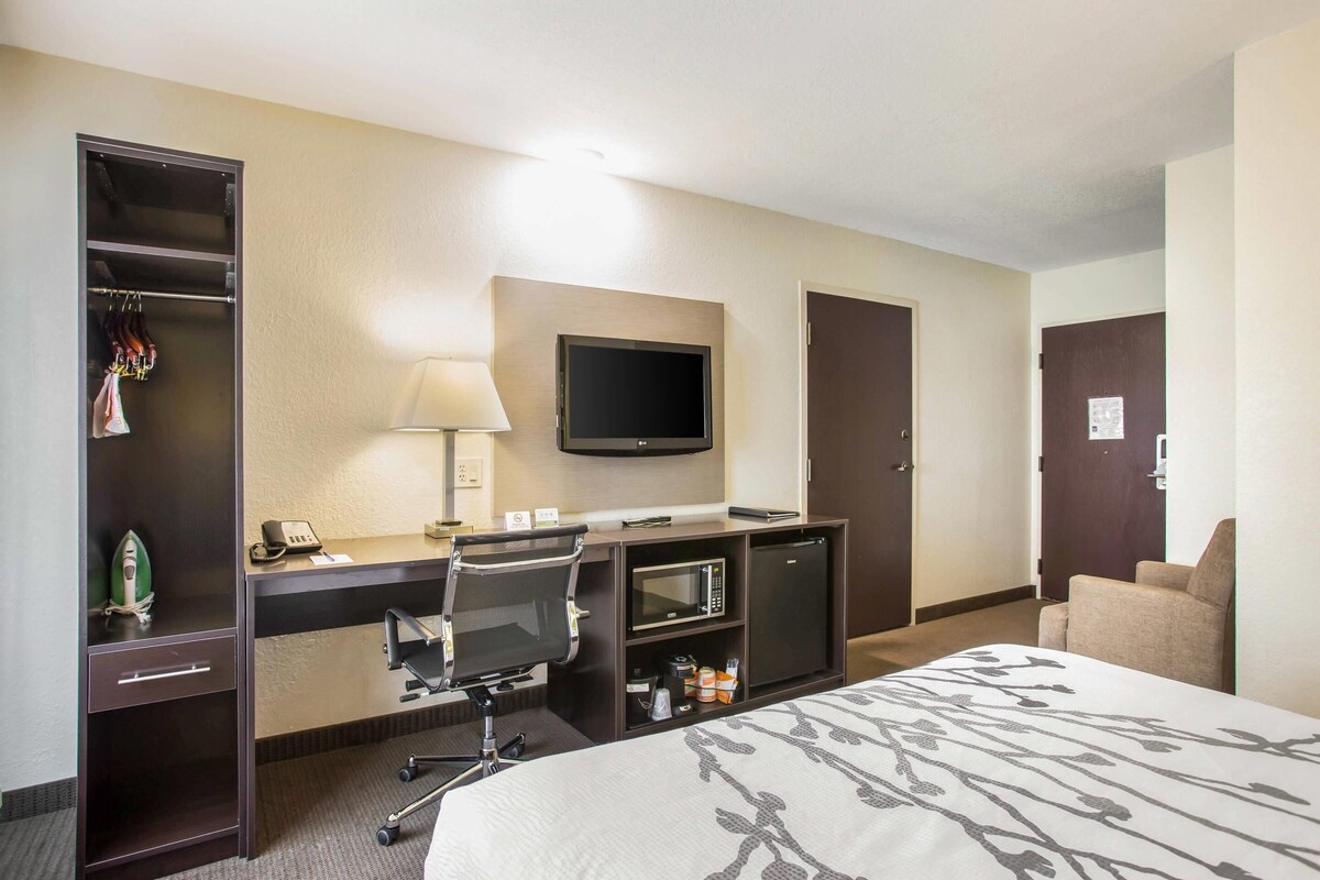 Habitación de hotel con una cama, un escritorio con computadora, televisor, armario y una silla.