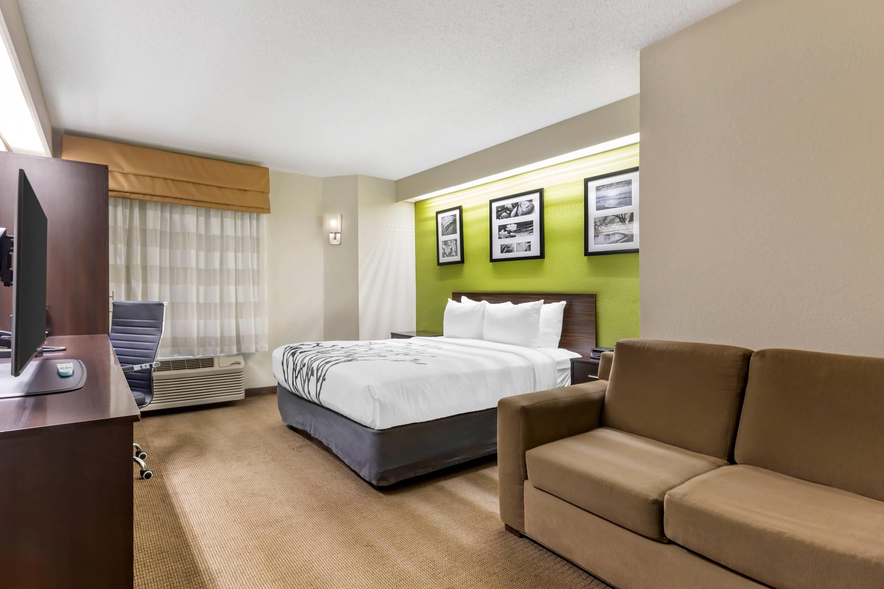 Standard Room, 1 Queen Bed, Non Smoking | Desk, laptop workspace, blackout drapes, iron/ironing board