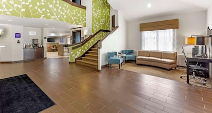 Sleep Inn at Greenville Convention Cente