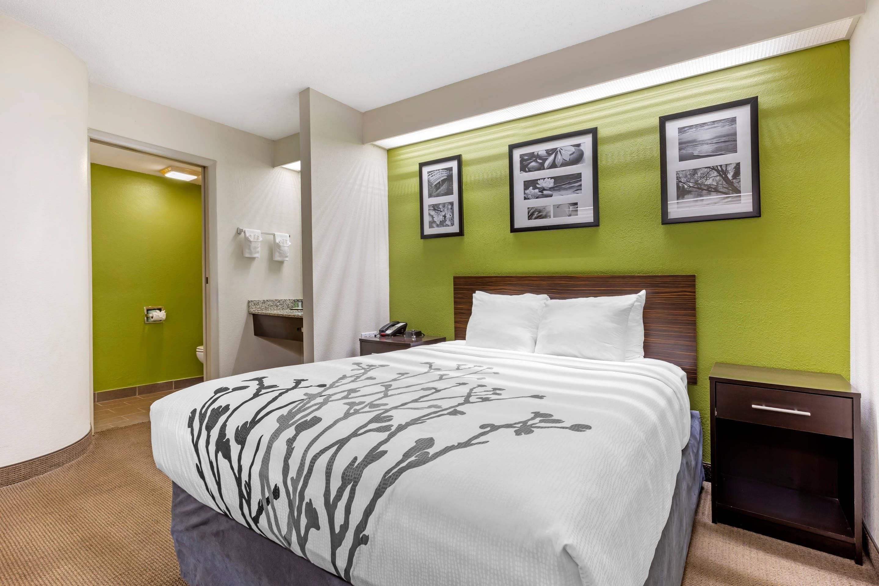 Une chambre d’hôtel avec un lit, une table de chevet, un miroir et un mur d’accent de couleur verte.