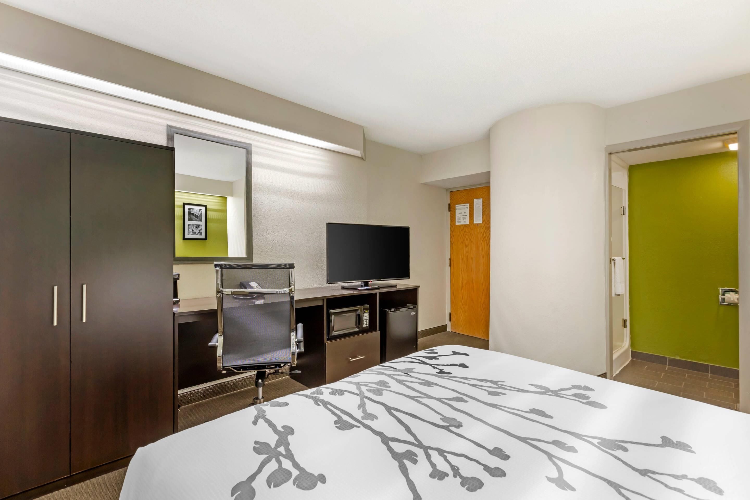 Een hotelkamer met een bed, een bureau met een televisie, een spiegel en een kledingkast.