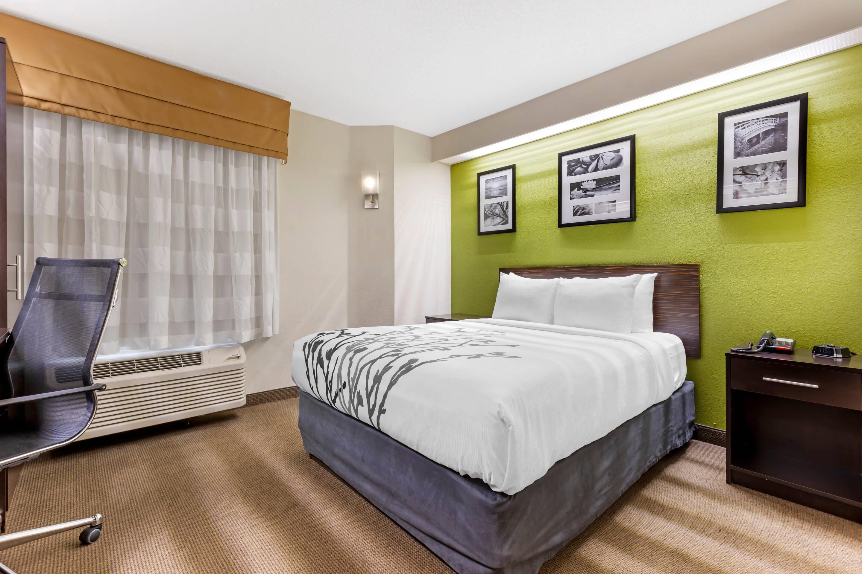 Room, 1 Queen Bed, Accessible, Non Smoking (Mobility, Roll-In Shower) | Desk, laptop workspace, blackout drapes, iron/ironing board