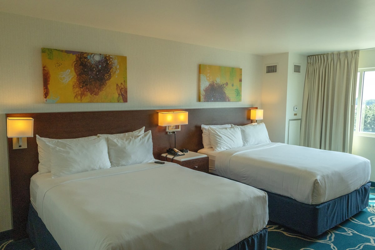 1 bedroom, hypo-allergenic bedding, in-room safe, desk
