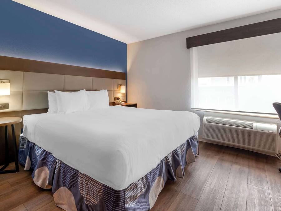 Standard Room, 1 King Bed, Non Smoking, Refrigerator & Microwave (with Sofabed) | Desk, free cribs/infant beds, rollaway beds, free WiFi