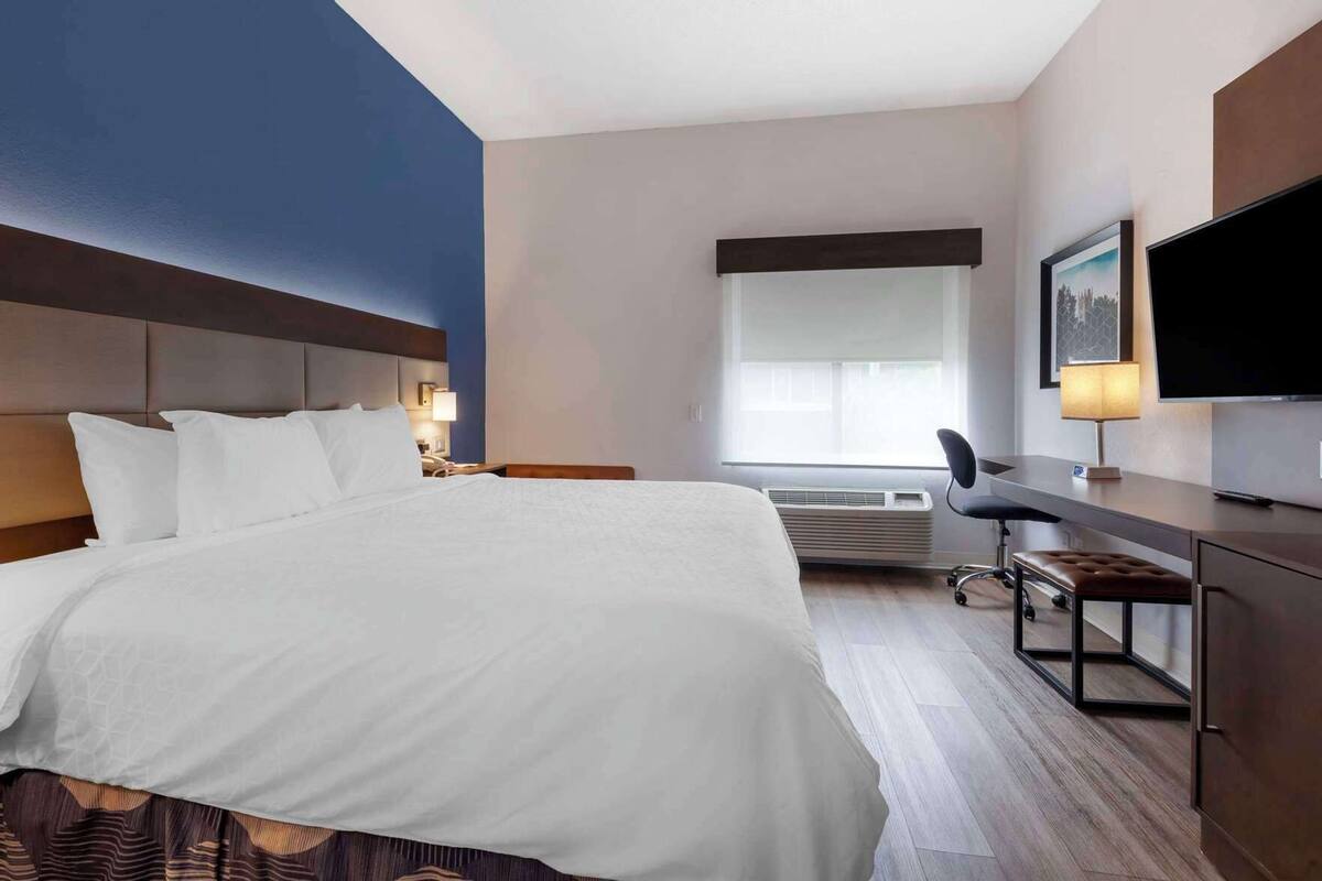 Desk, cribs (free), rollaway beds (surcharge), WiFi (free)