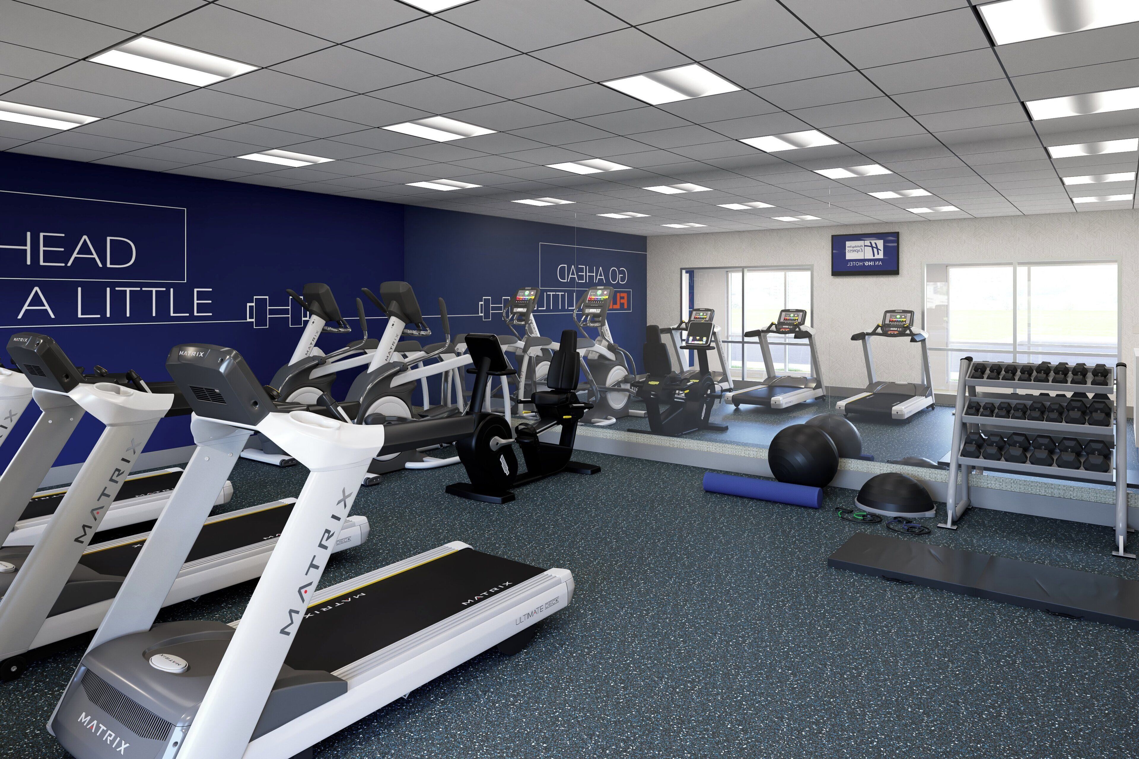 A gym with treadmills, elliptical machines, and free weights.