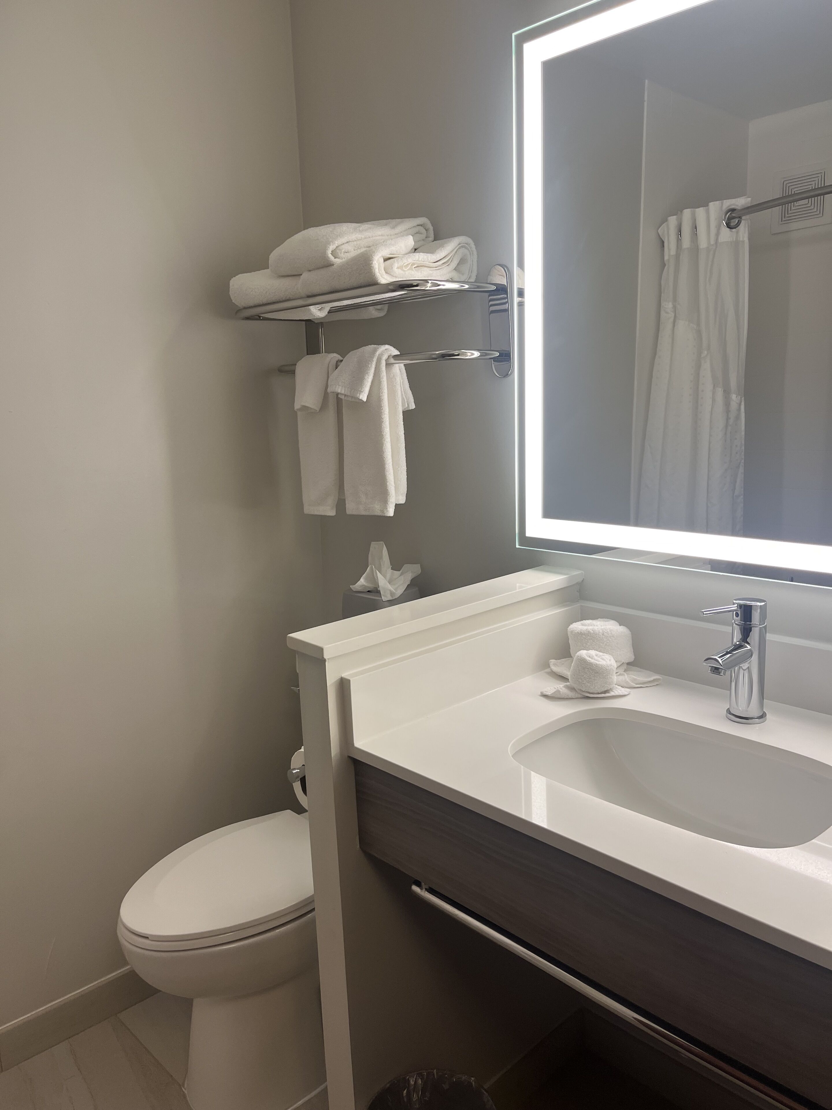 combined shower/bathtub, hair dryer, towels