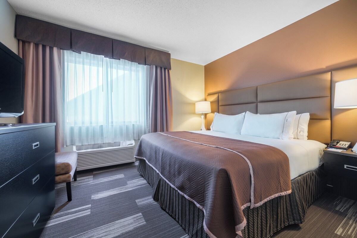 Suite, 1 chambre