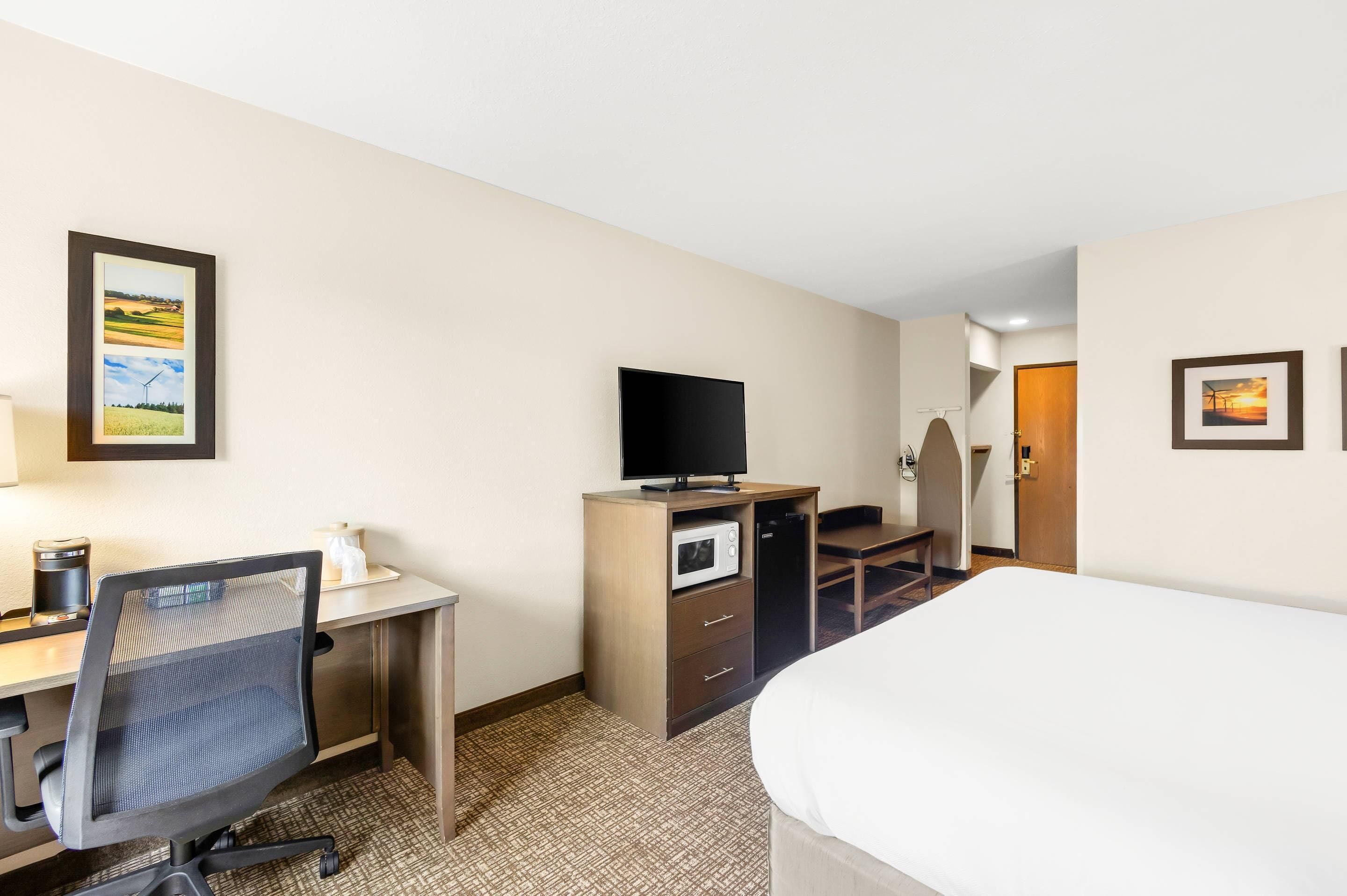 A hotel room with a bed, desk, chair, television, microwave, and a framed picture on the wall.