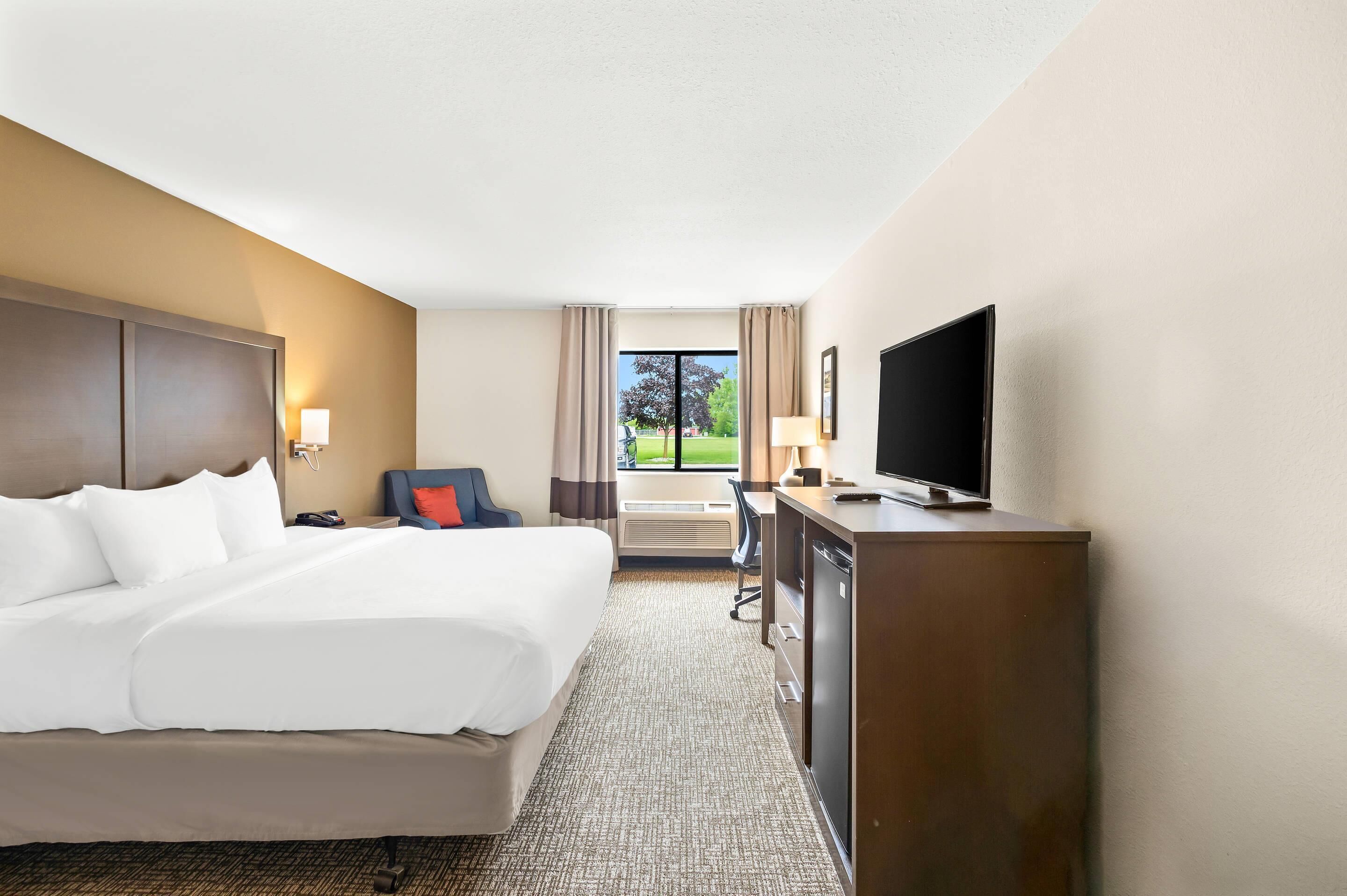 Een hotelkamer met een groot bed, een bureau, een televisie en uitzicht op een park.