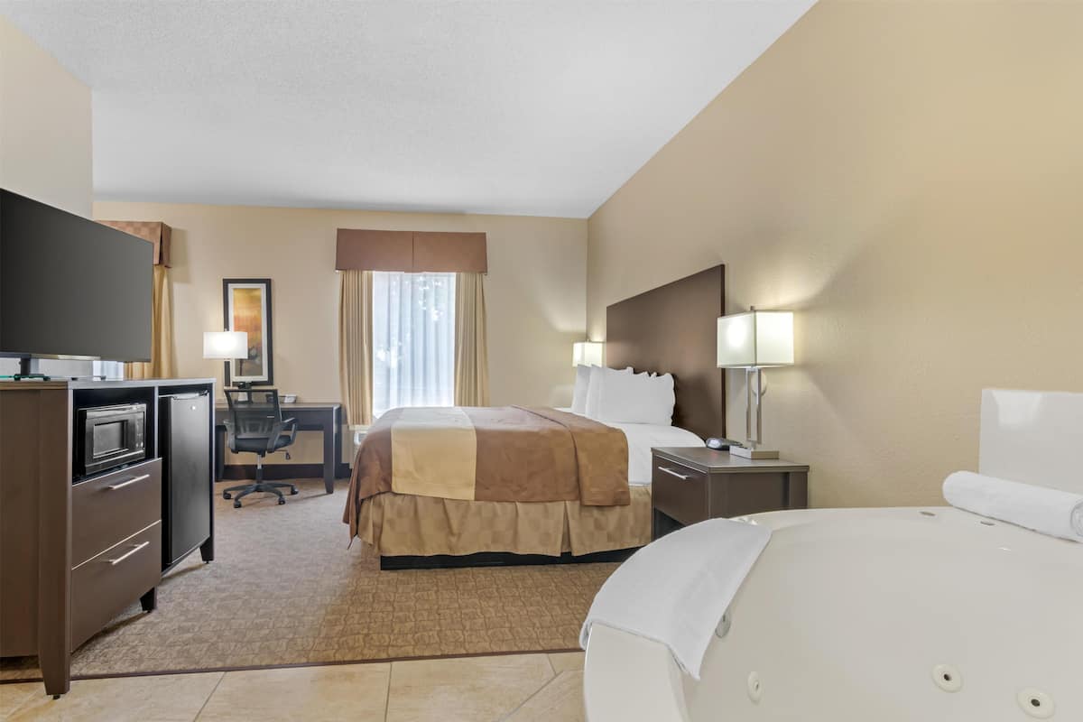 A hotel room with a bed, desk, chair, television, and a microwave.