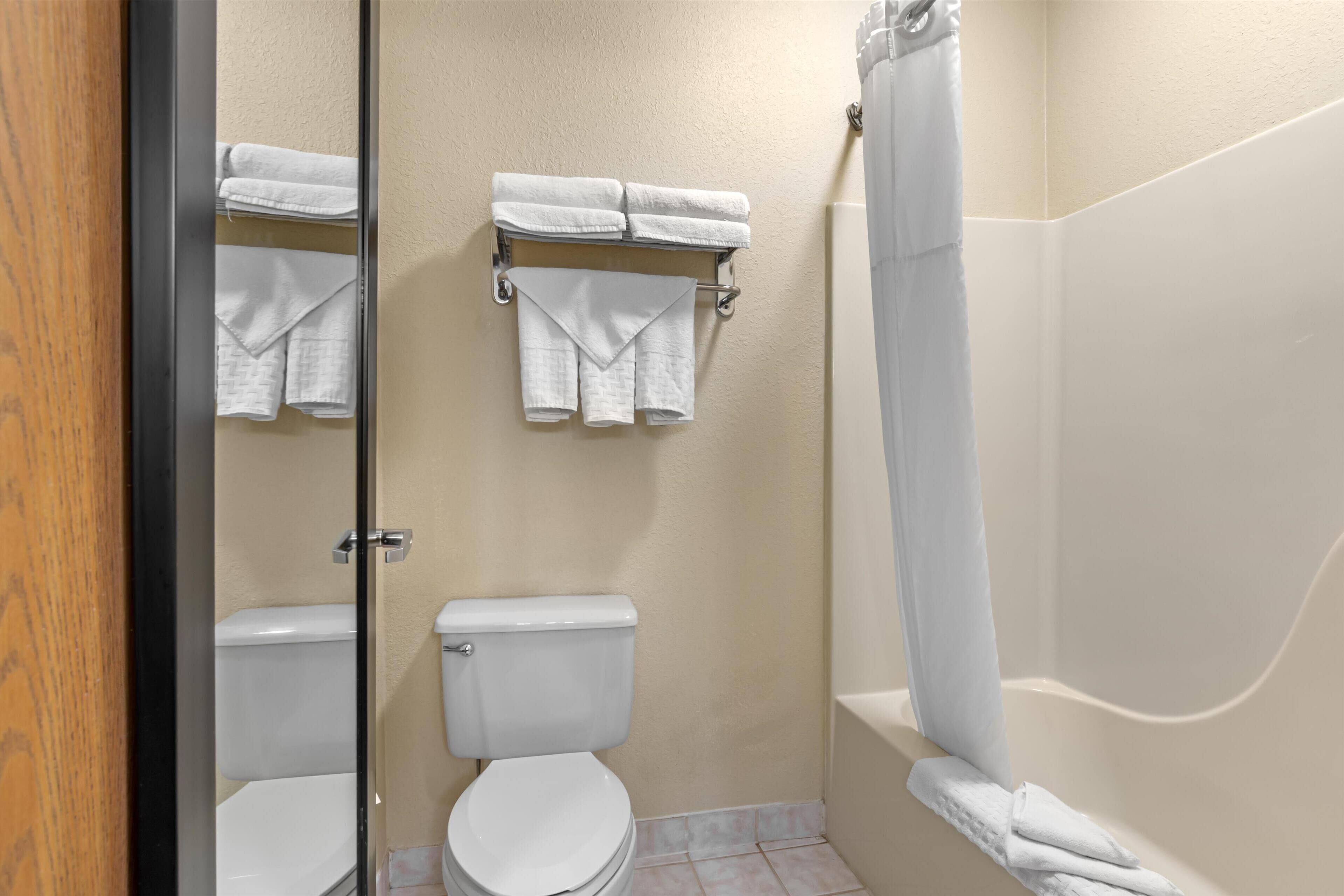 standard room, 1 king bed, accessible, bathtub (pet friendly) | bathroom | combined shower/bathtub, free toiletries, hair dryer, towels