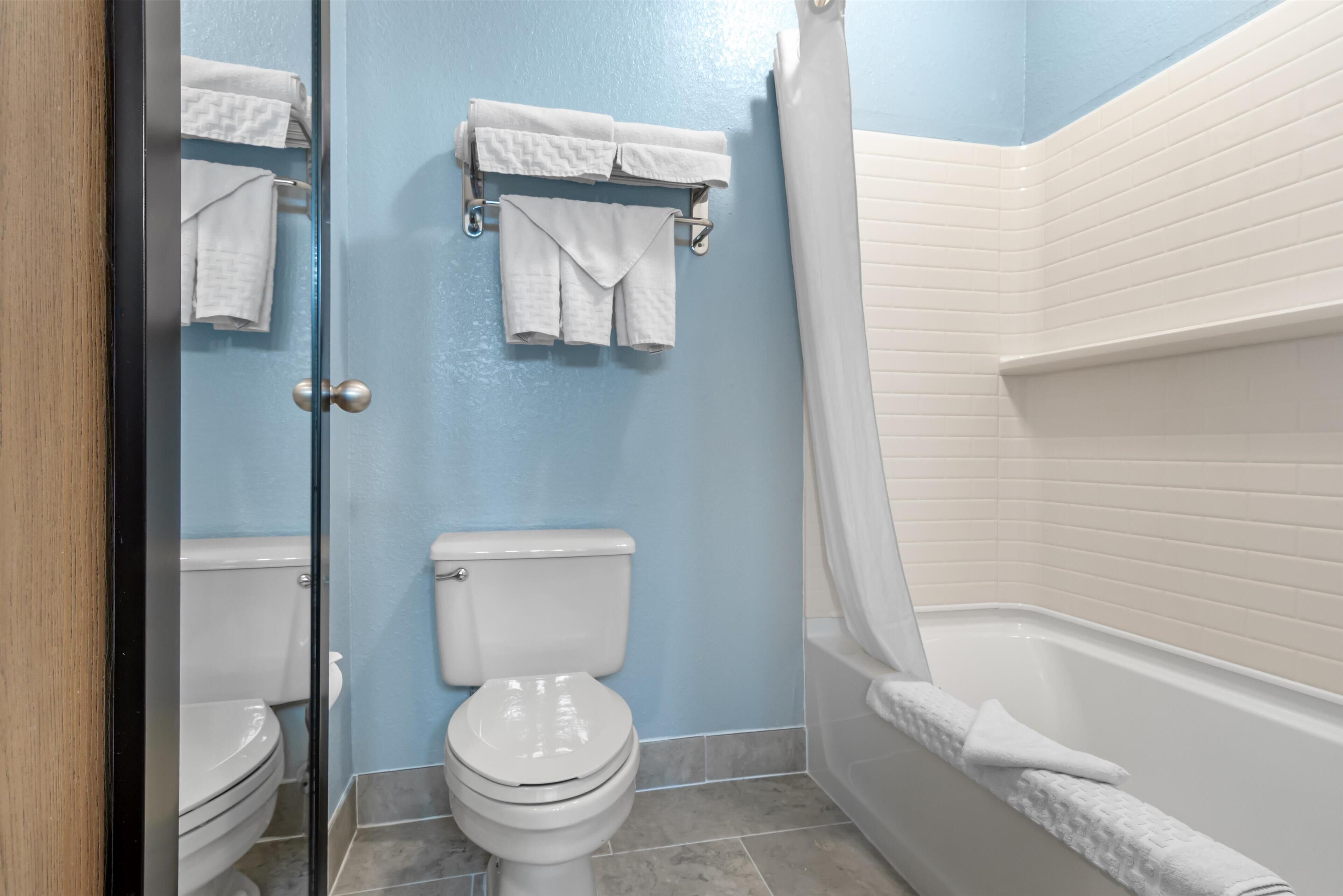 combined shower/bathtub, free toiletries, hair dryer, towels