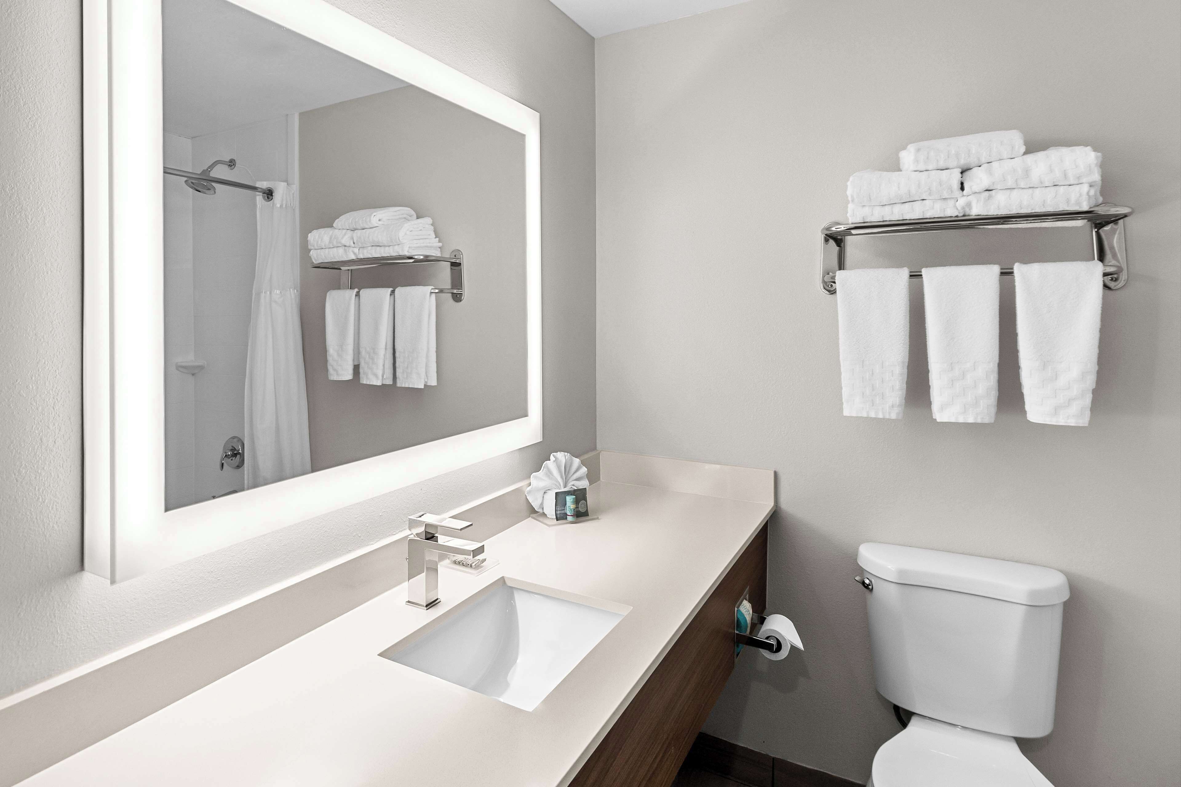 combined shower/bathtub, free toiletries, hair dryer, towels