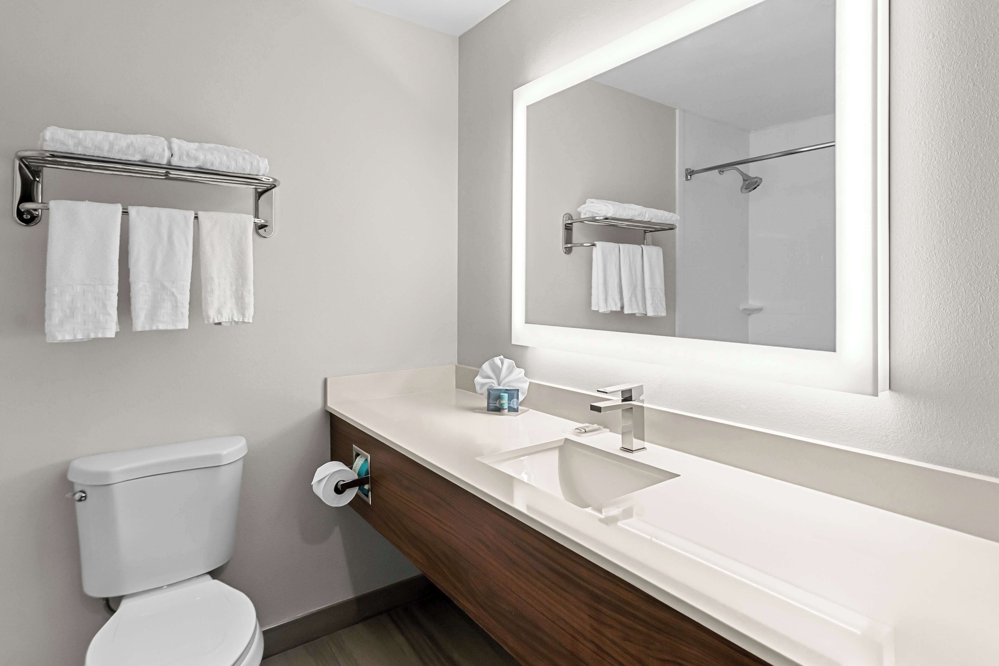 combined shower/bathtub, free toiletries, hair dryer, towels