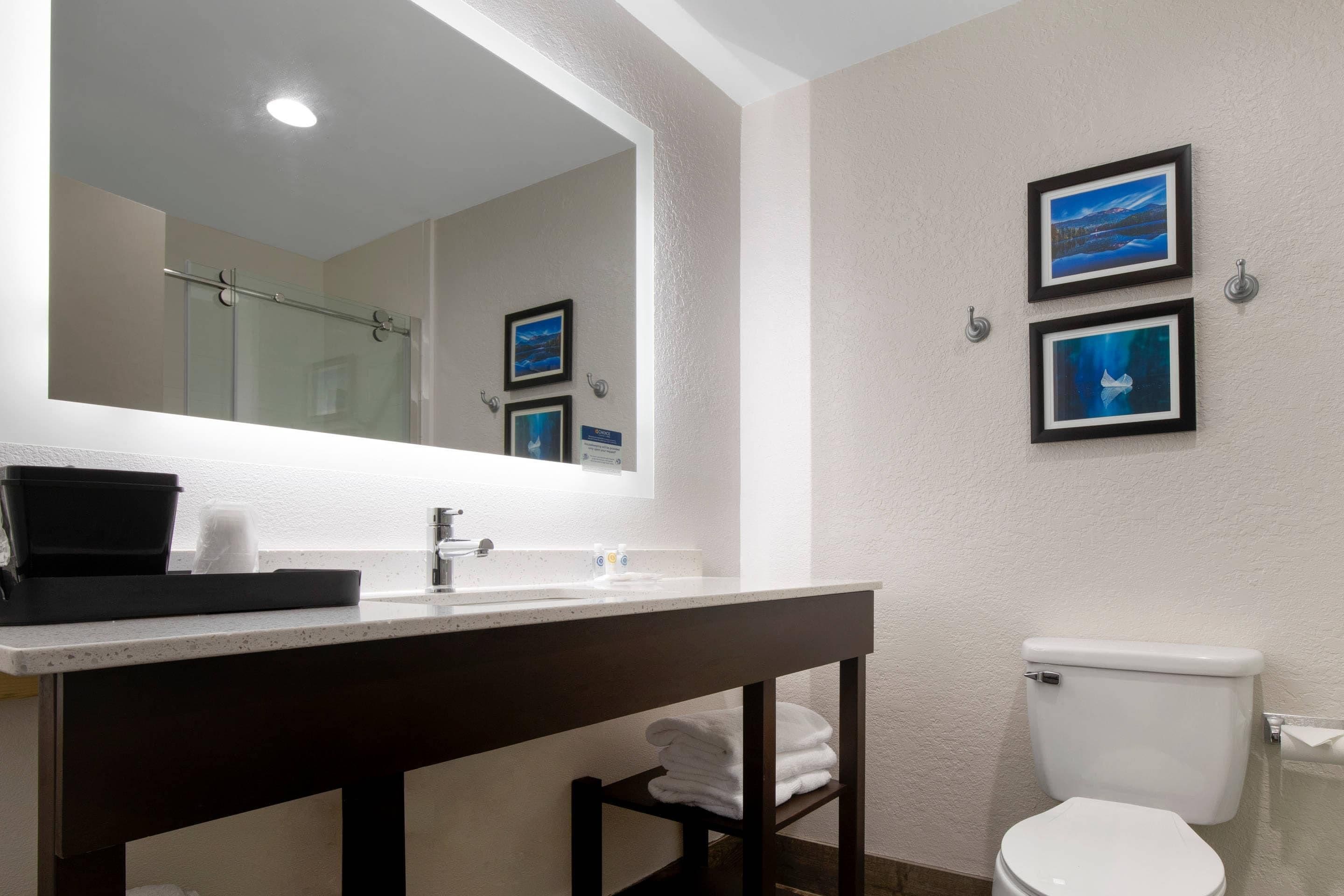 A bathroom with a white sink, a mirror, a toilet, and two framed pictures on the wall.