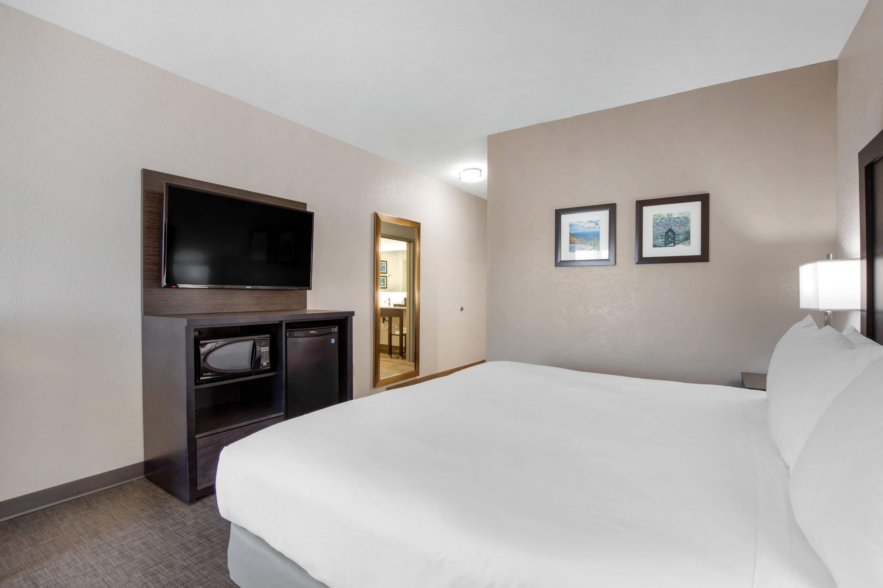 A hotel room with a large bed, a television, a microwave, and two framed pictures on the wall.